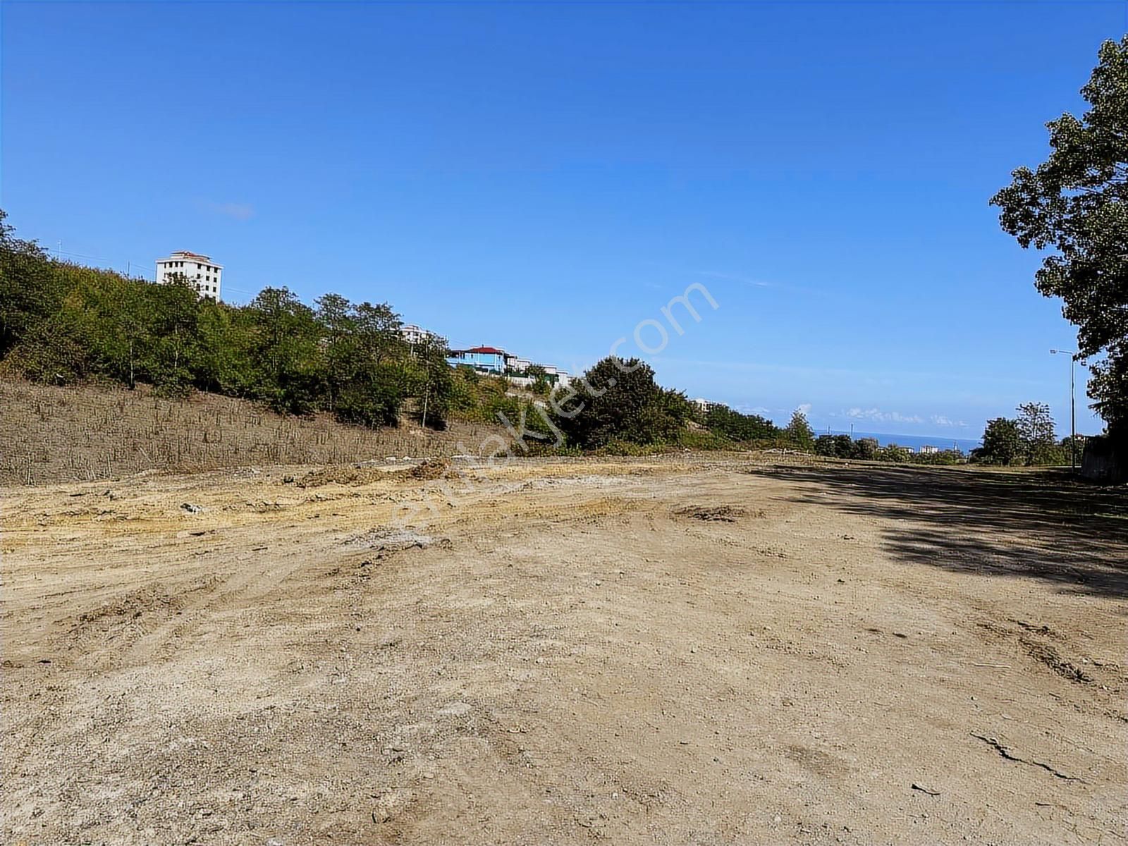 Büyükoyumca'da 5 Kat 1.50 Emsal Köşe Parsel Arsa - Görsel 8