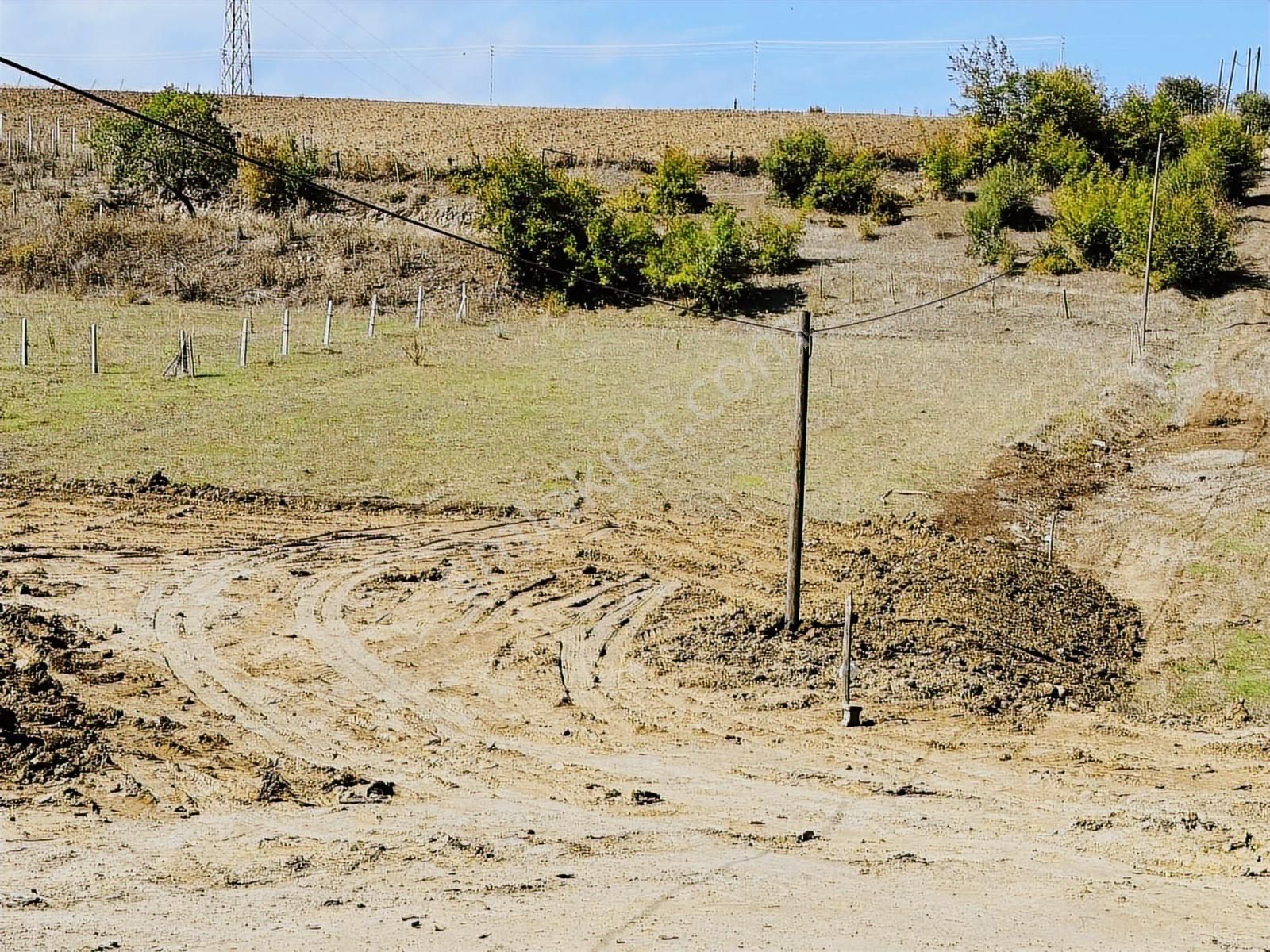 Büyükoyumca'da 5 Kat 1.50 Emsal Köşe Parsel Arsa - Görsel 7
