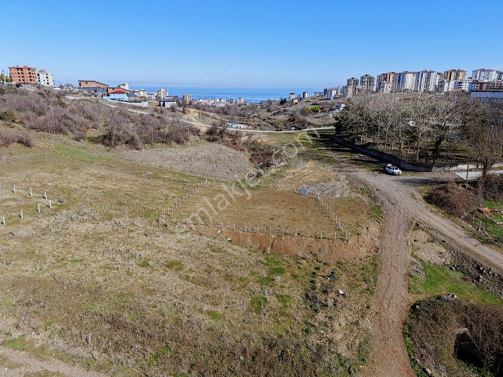 Büyükoyumca'da 5 Kat 1.50 Emsal 758 M2 Köşe Parsel Arsa - Görsel 4