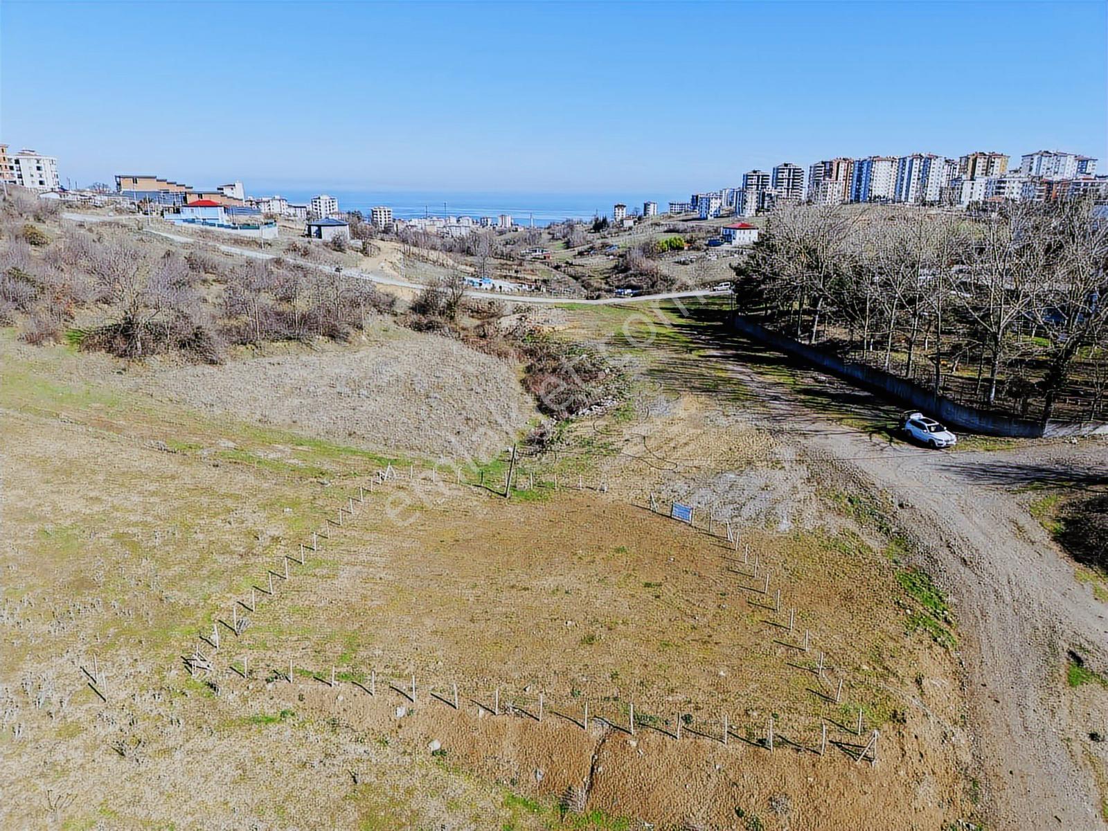 Büyükoyumca'da 5 Kat 1.50 Emsal 758 M2 Köşe Parsel Arsa - Görsel 3