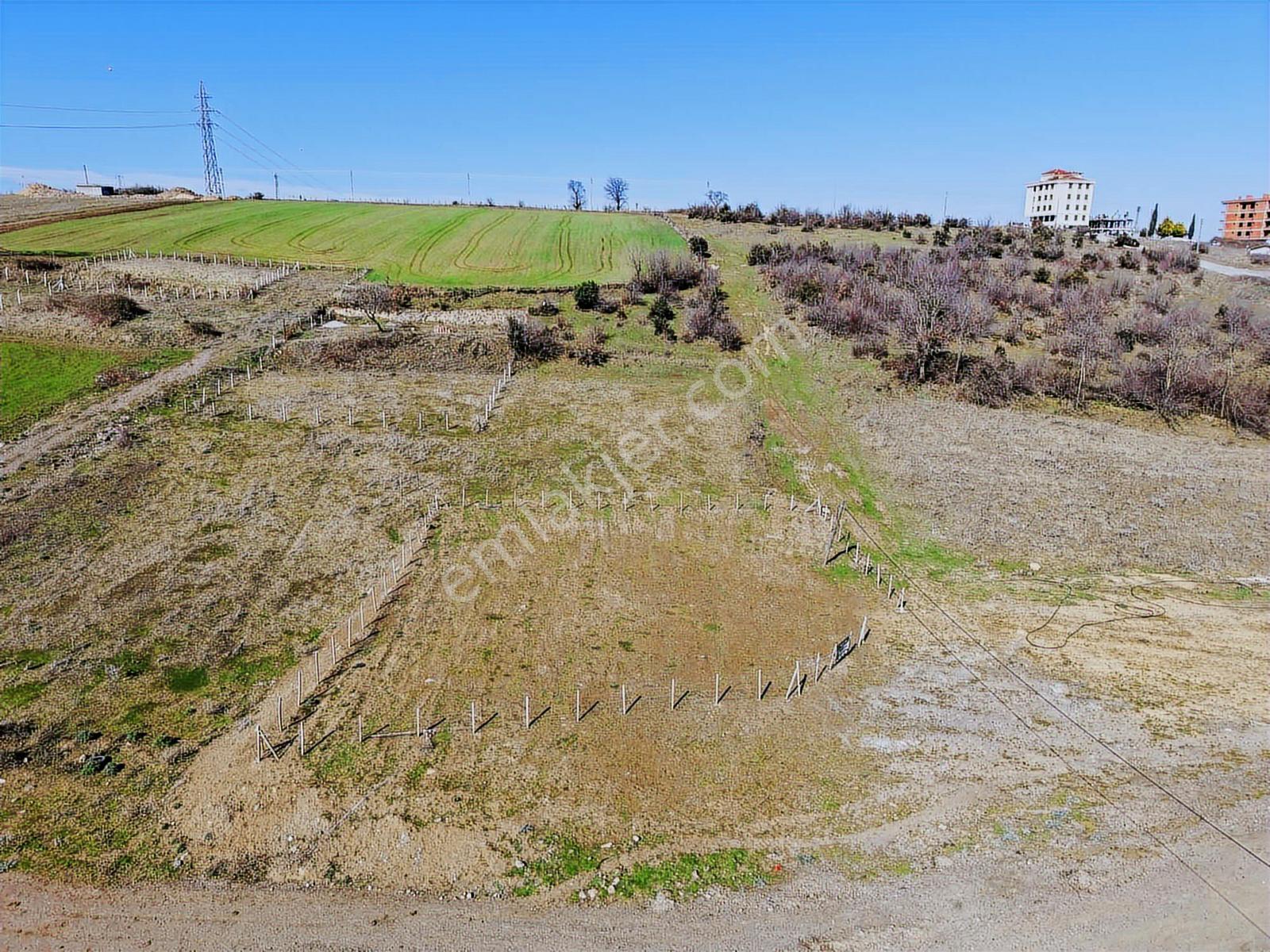 Büyükoyumca'da 5 Kat 1.50 Emsal 758 M2 Köşe Parsel Arsa - Görsel 12