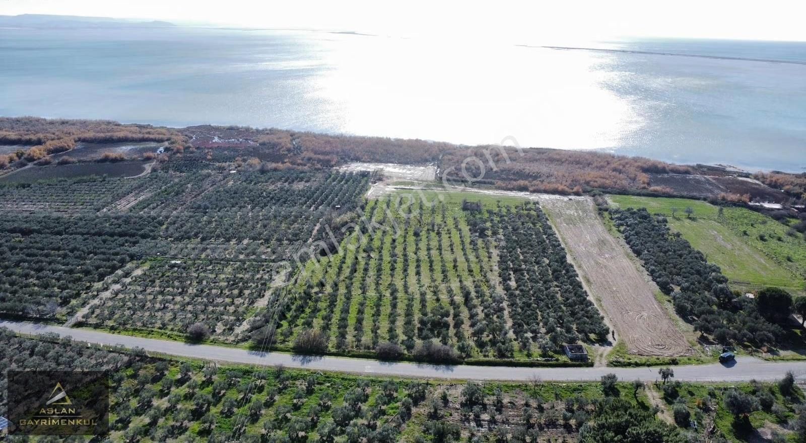 Aslan'dan Doğanbey'de Denize Sıfır Yola Cepheli Satılık Tarla - Görsel 4