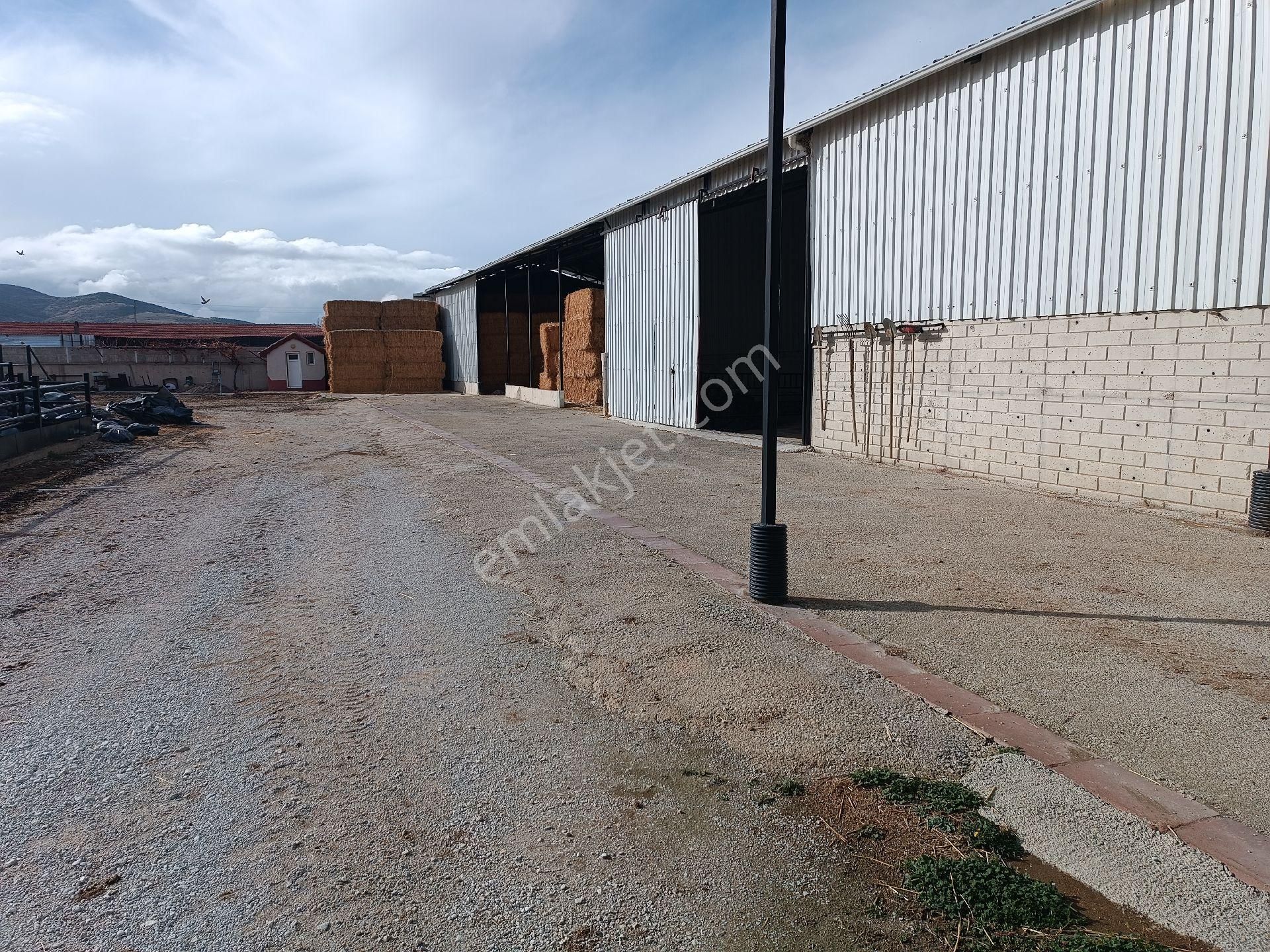 Modern Besi Çiftliğ( Krediye Uygundur) - Görsel 4