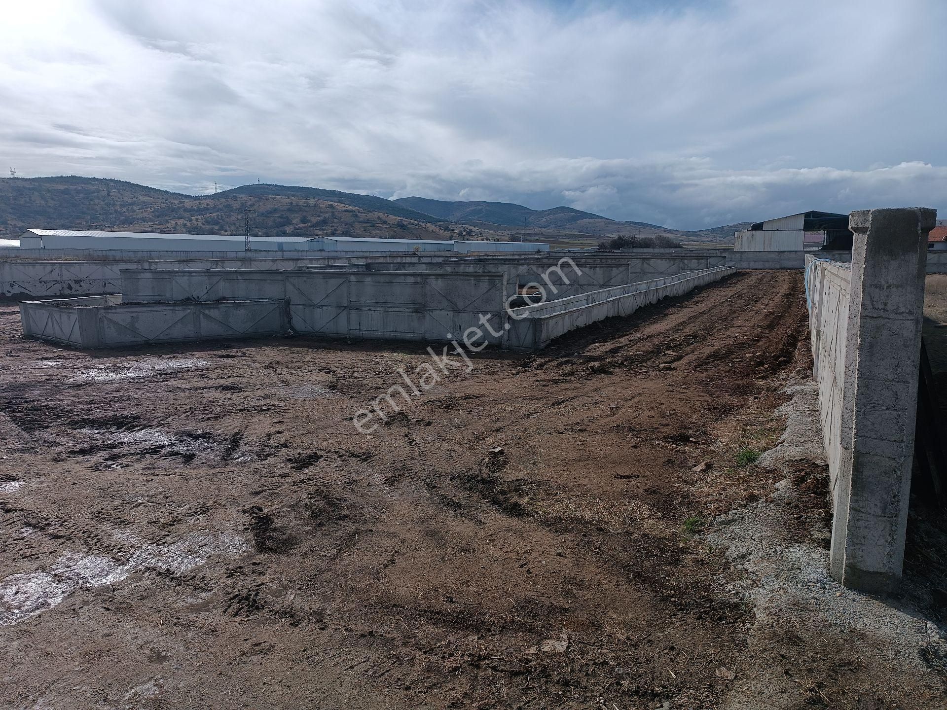 Modern Besi Çiftliğ( Krediye Uygundur) - Görsel 15