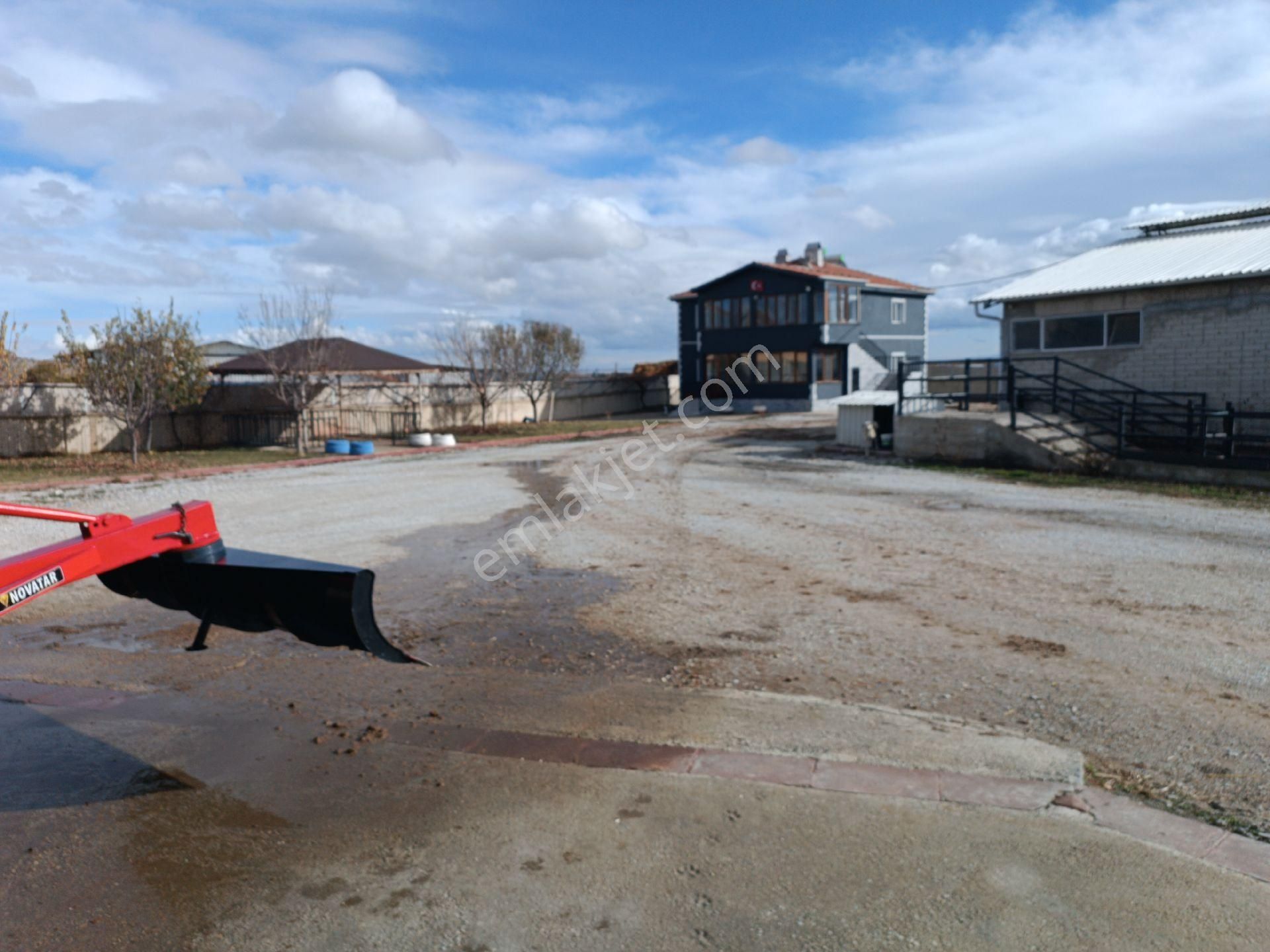 Modern Besi Çiftliğ( Krediye Uygundur) - Görsel 2