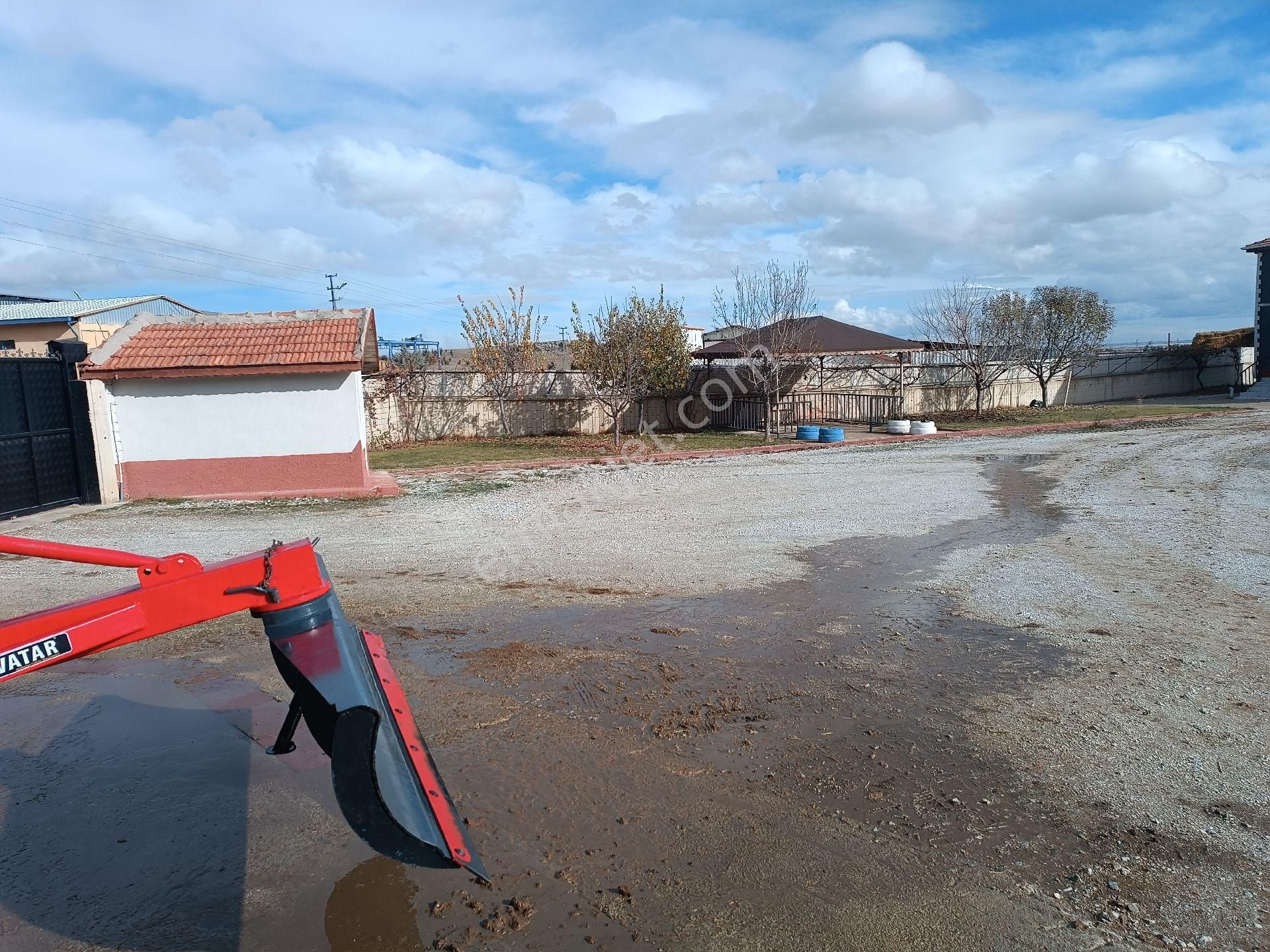 Modern Besi Çiftliğ( Krediye Uygundur) - Görsel 3