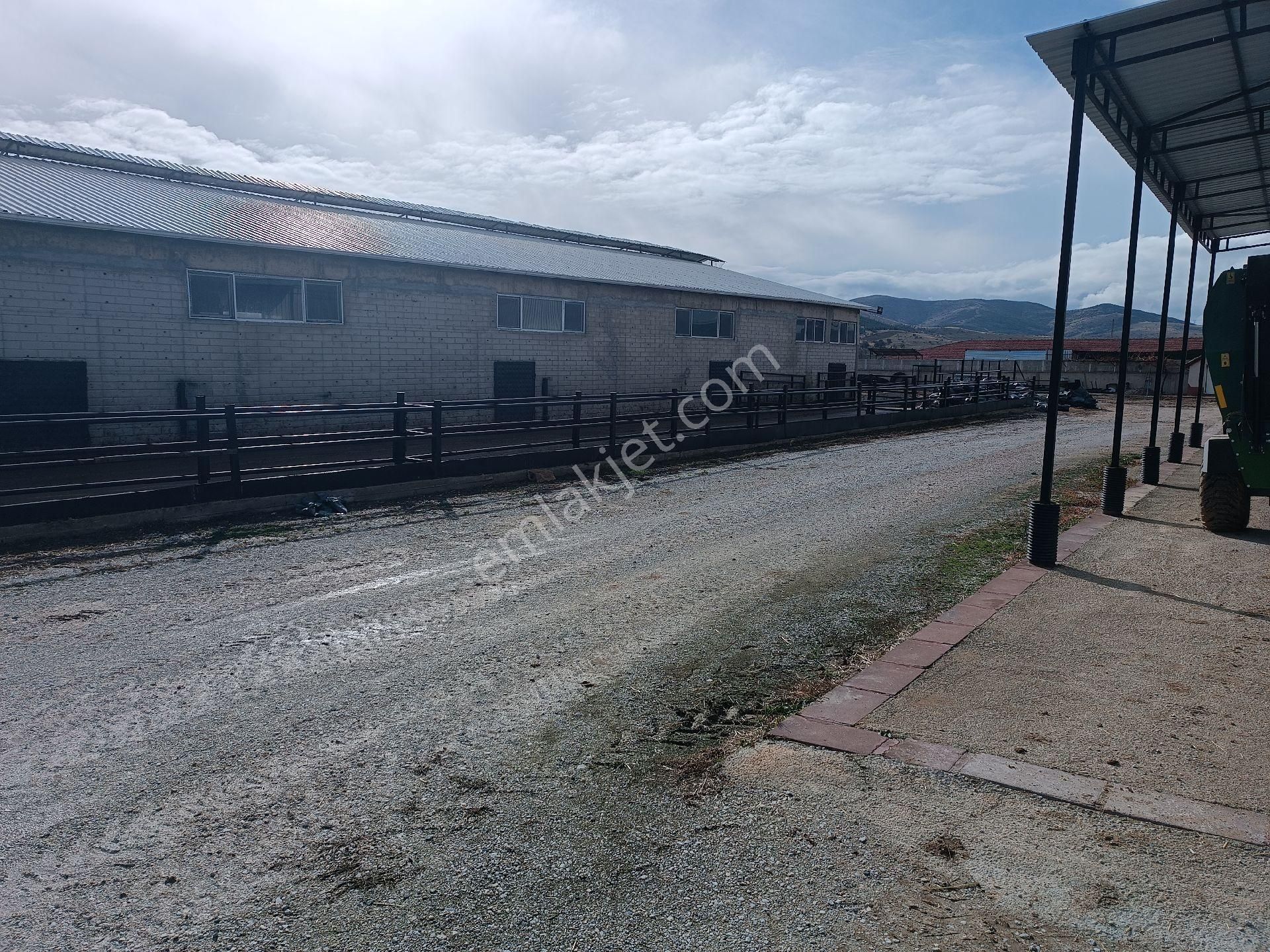 Modern Besi Çiftliğ( Krediye Uygundur) - Görsel 7