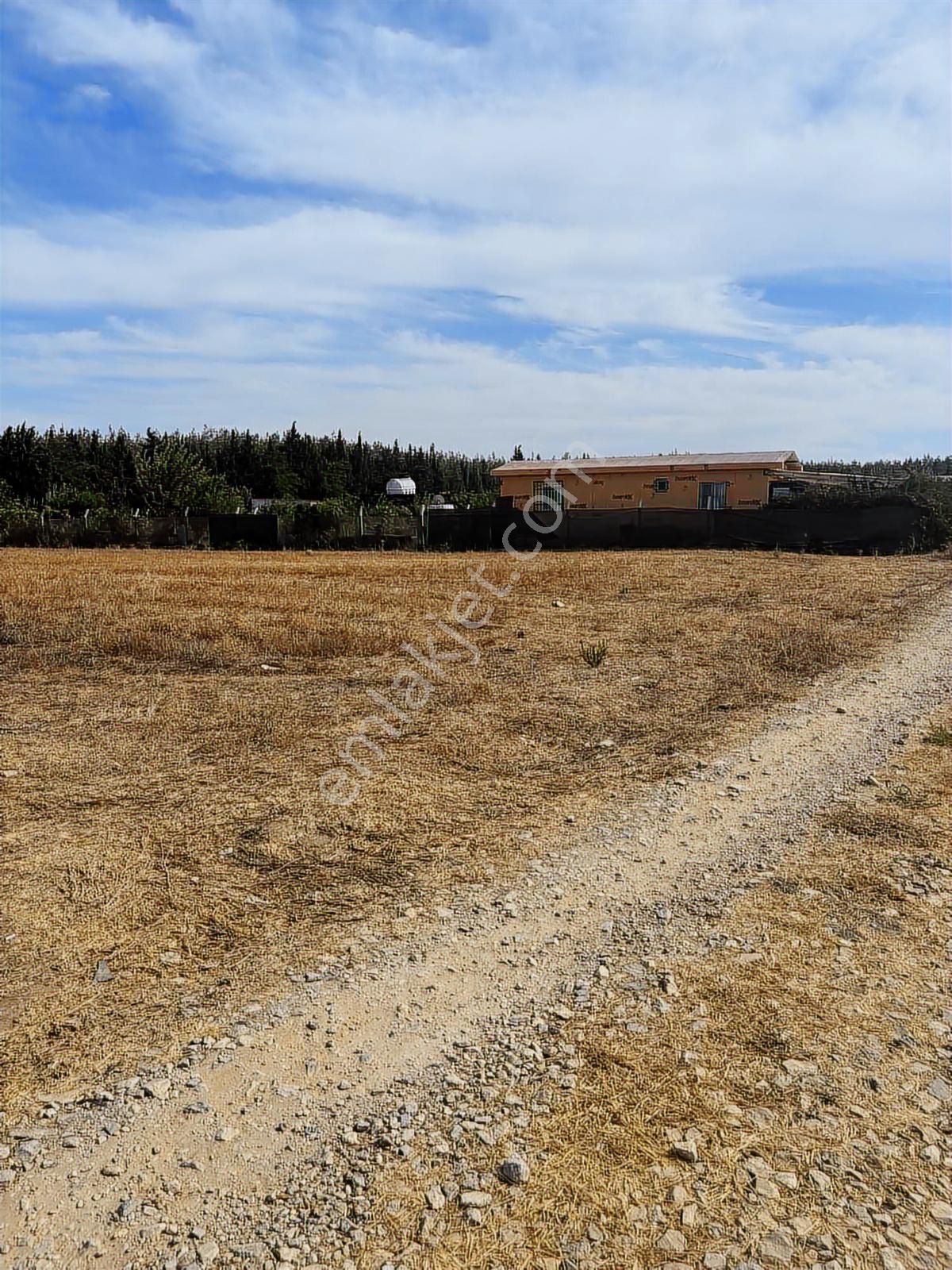 Menderes Develi Köyünde Sahibinden Satılık Tarla - Görsel 7