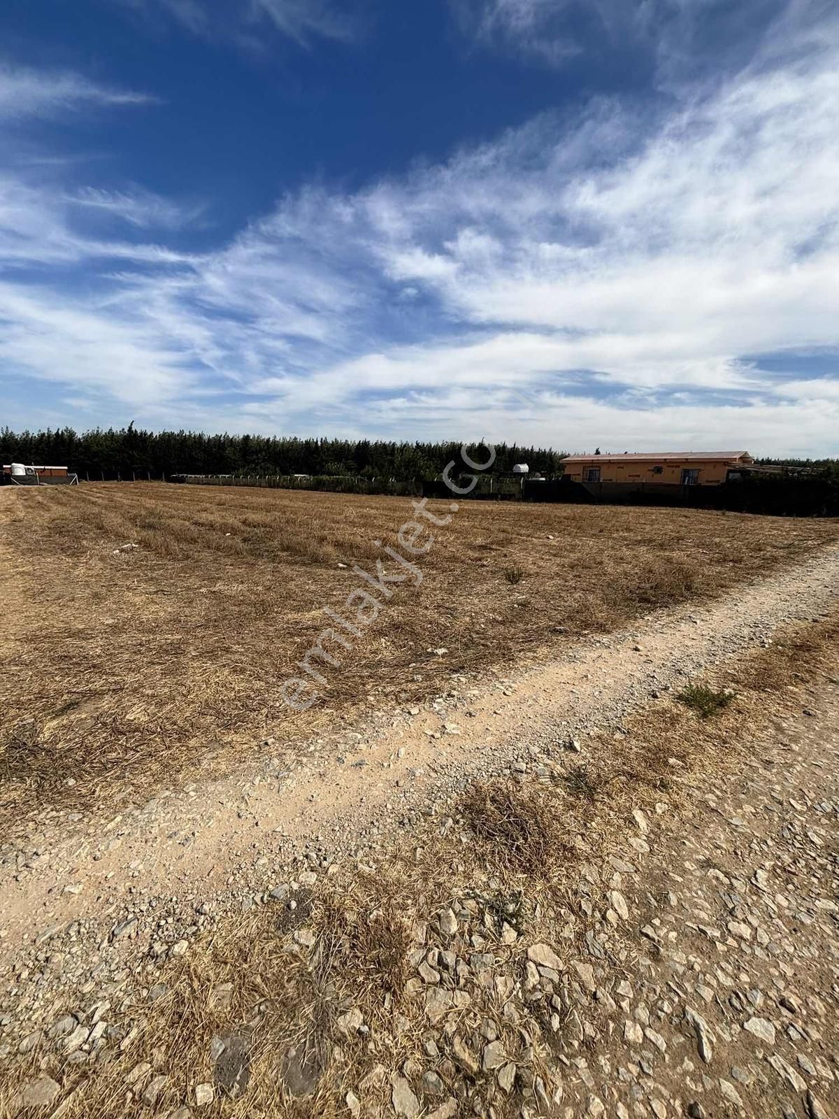 Menderes Develi Köyünde Sahibinden Satılık Tarla - Görsel 4