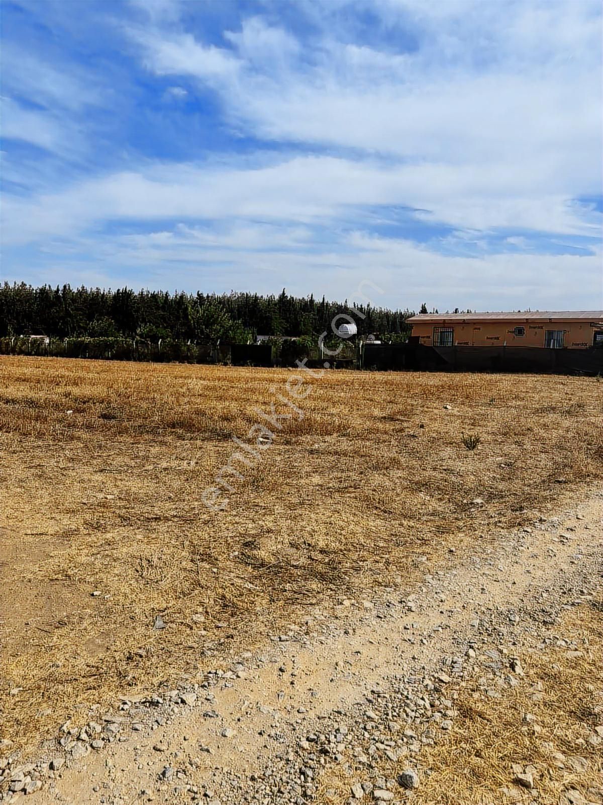 Menderes Develi Köyünde Sahibinden Satılık Tarla - Görsel 3