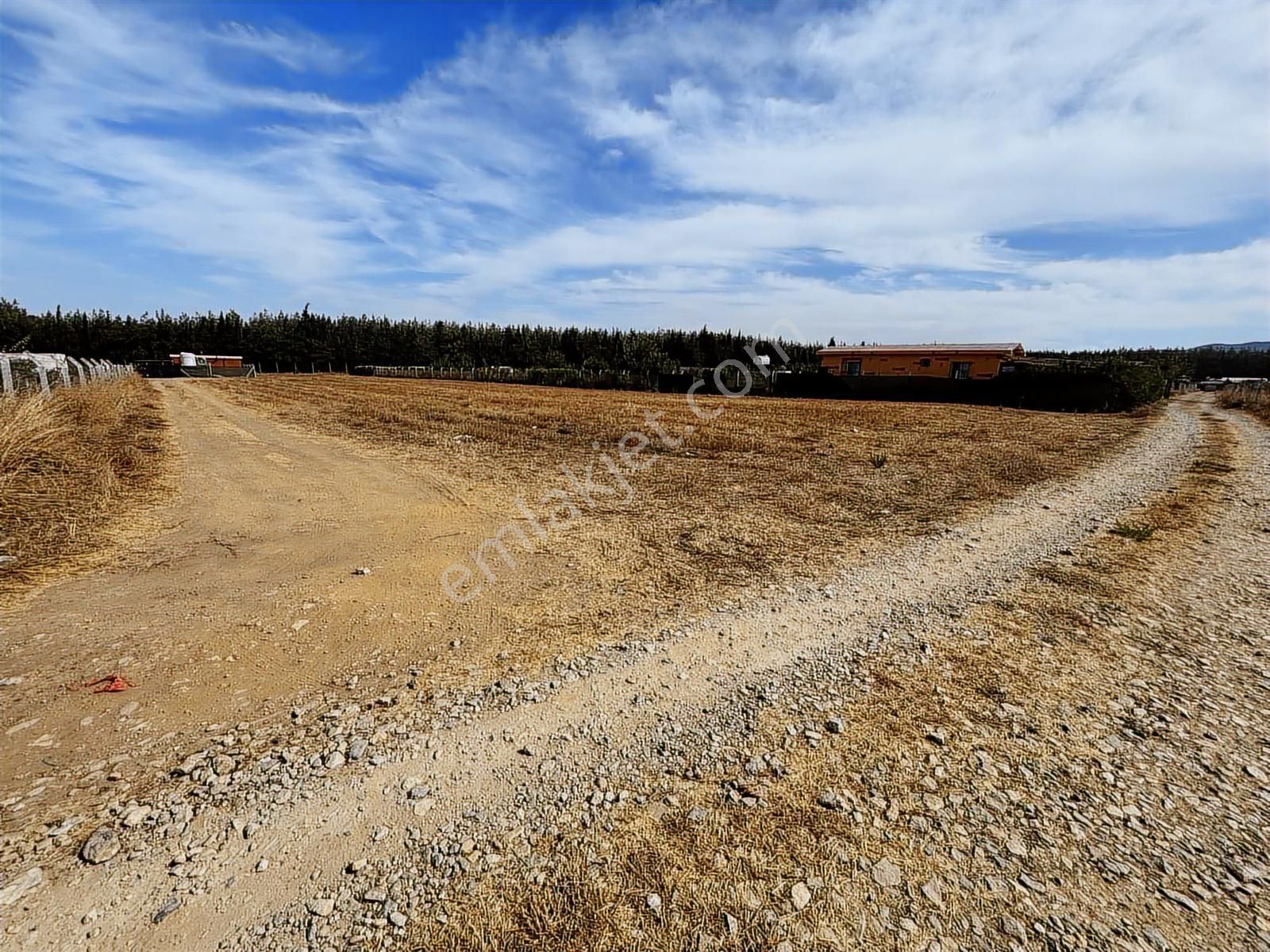 Menderes Develi Köyünde Sahibinden Satılık Tarla - Görsel 6