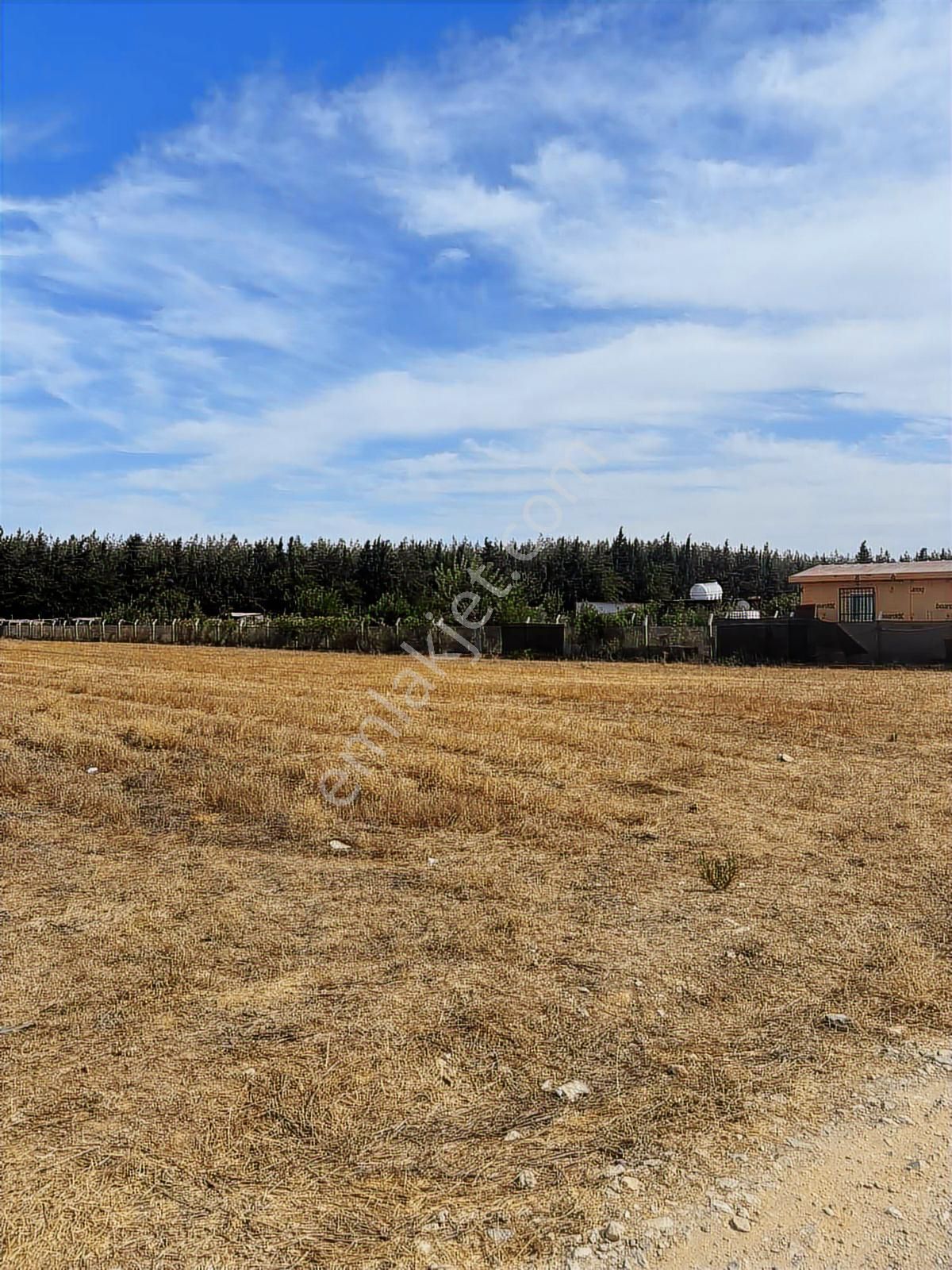 Menderes Develi Köyünde Sahibinden Satılık Tarla - Görsel 5