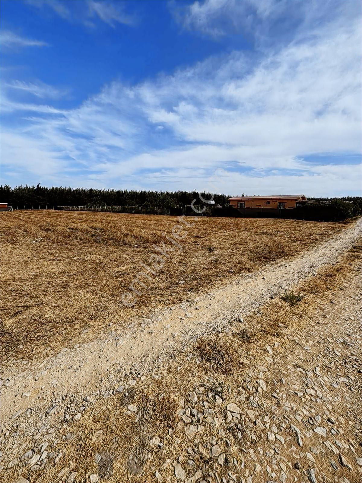 Menderes Develi Köyünde Sahibinden Satılık Tarla - Görsel 8