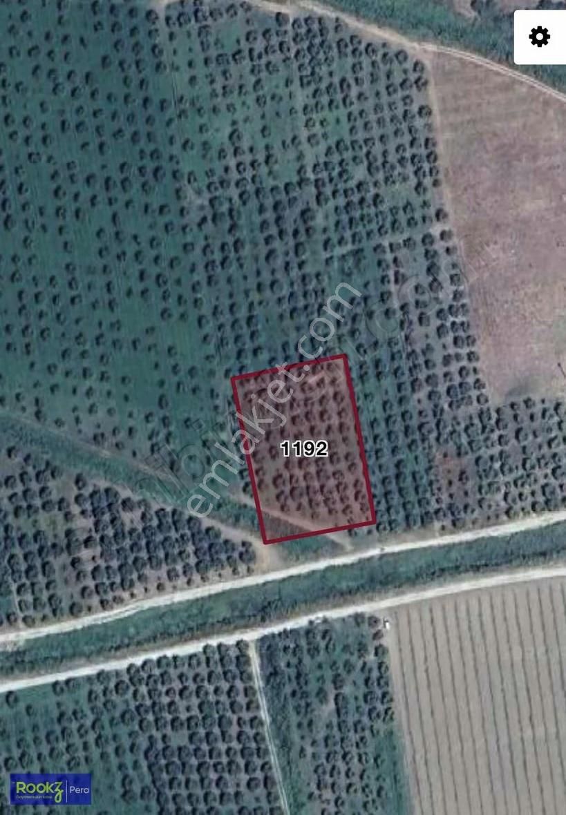 Pamukova'da Tam Yatırımlık Ayva Bahçesi - Görsel 3