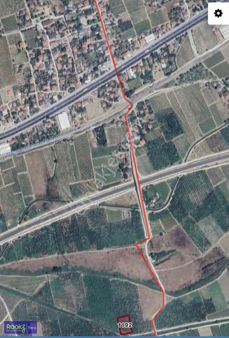 Pamukova'da Tam Yatırımlık Ayva Bahçesi - Görsel 2