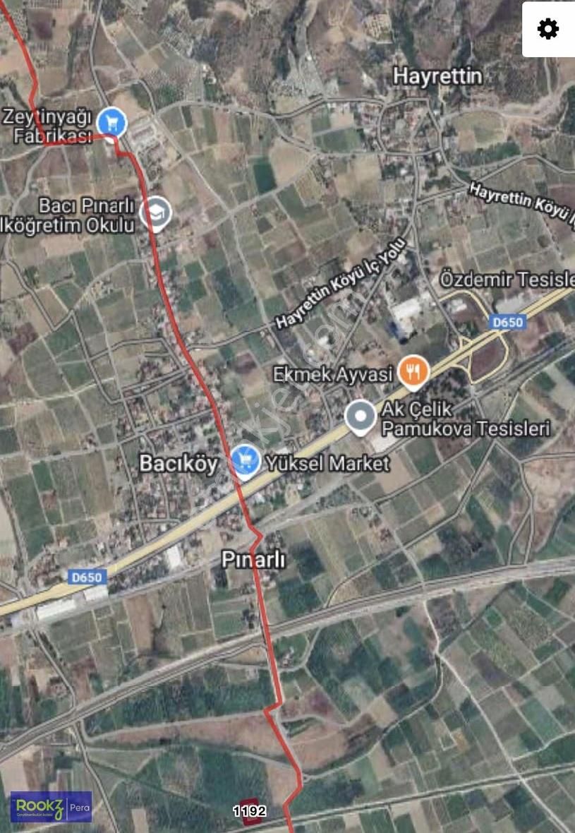 Pamukova'da Tam Yatırımlık Ayva Bahçesi