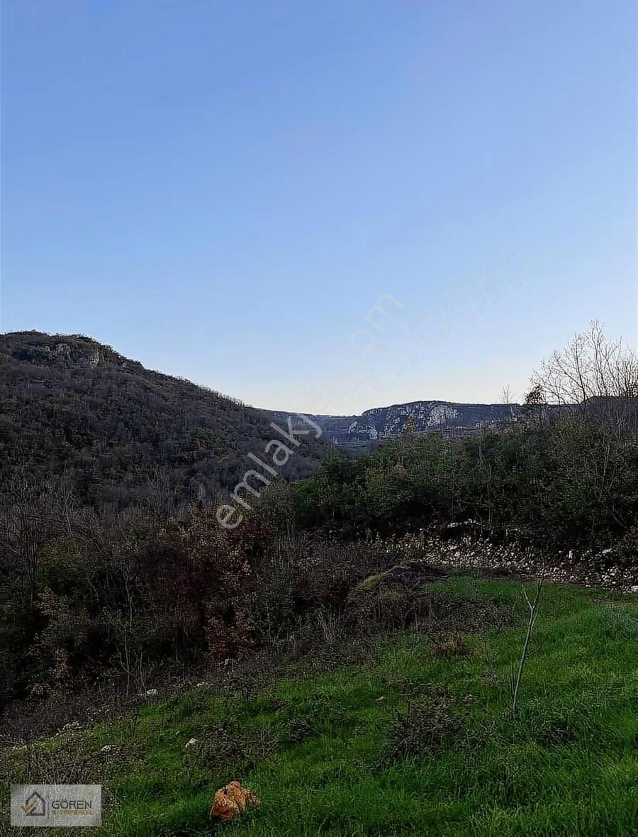 Ayva Köyde Resmi Yola Cephe Tek Tapu 1612 M2 Tarla - Görsel 9