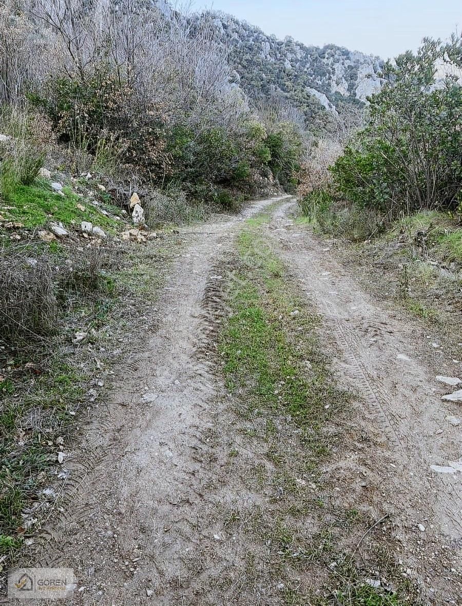 Ayva Köyde Resmi Yola Cephe Tek Tapu 1612 M2 Tarla - Görsel 16