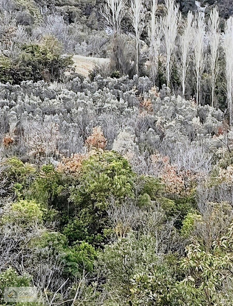 Ayva Köyde Resmi Yola Cephe Tek Tapu 1612 M2 Tarla - Görsel 8