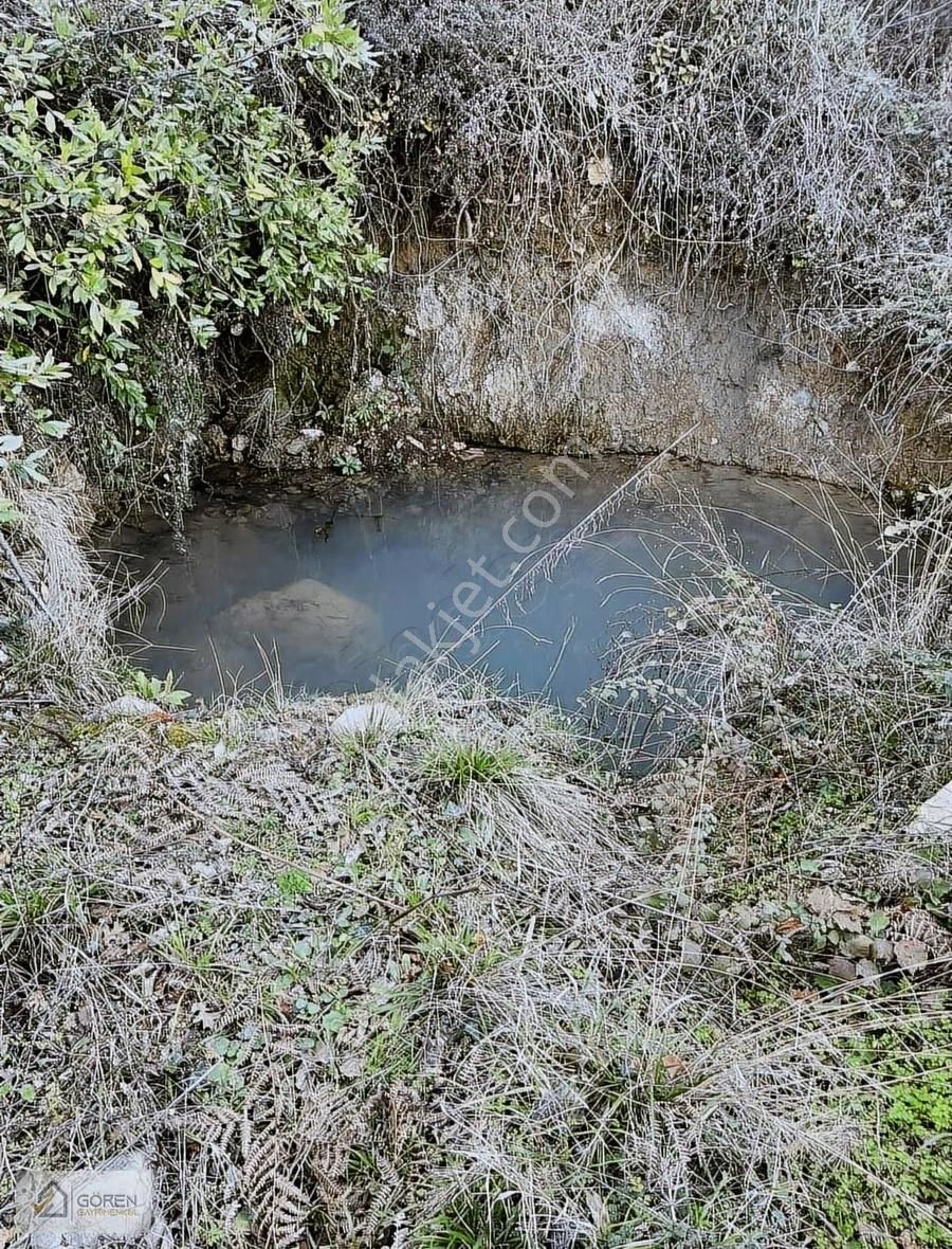 Ayva Köyde Resmi Yola Cephe Tek Tapu 1612 M2 Tarla - Görsel 32