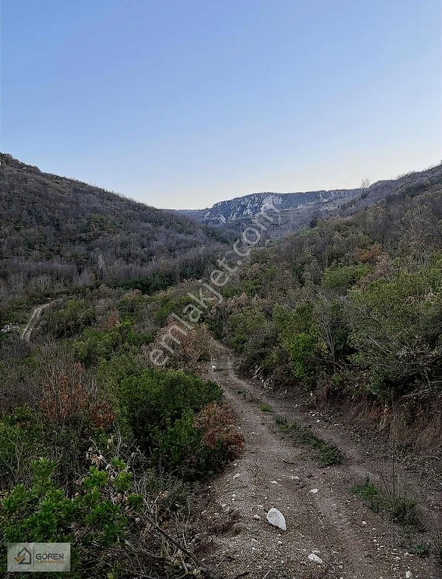 Ayva Köyde Resmi Yola Cephe Tek Tapu 1612 M2 Tarla - Görsel 11