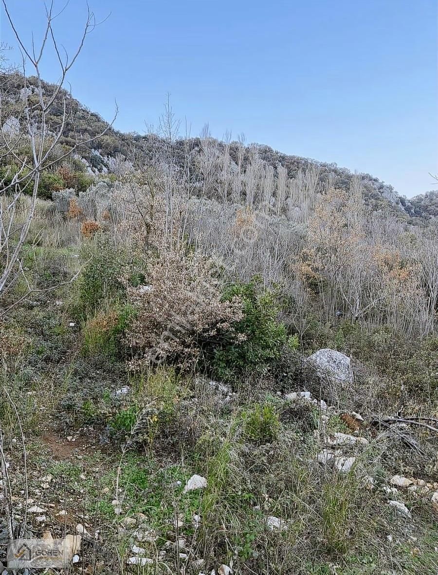 Ayva Köyde Resmi Yola Cephe Tek Tapu 1612 M2 Tarla - Görsel 12