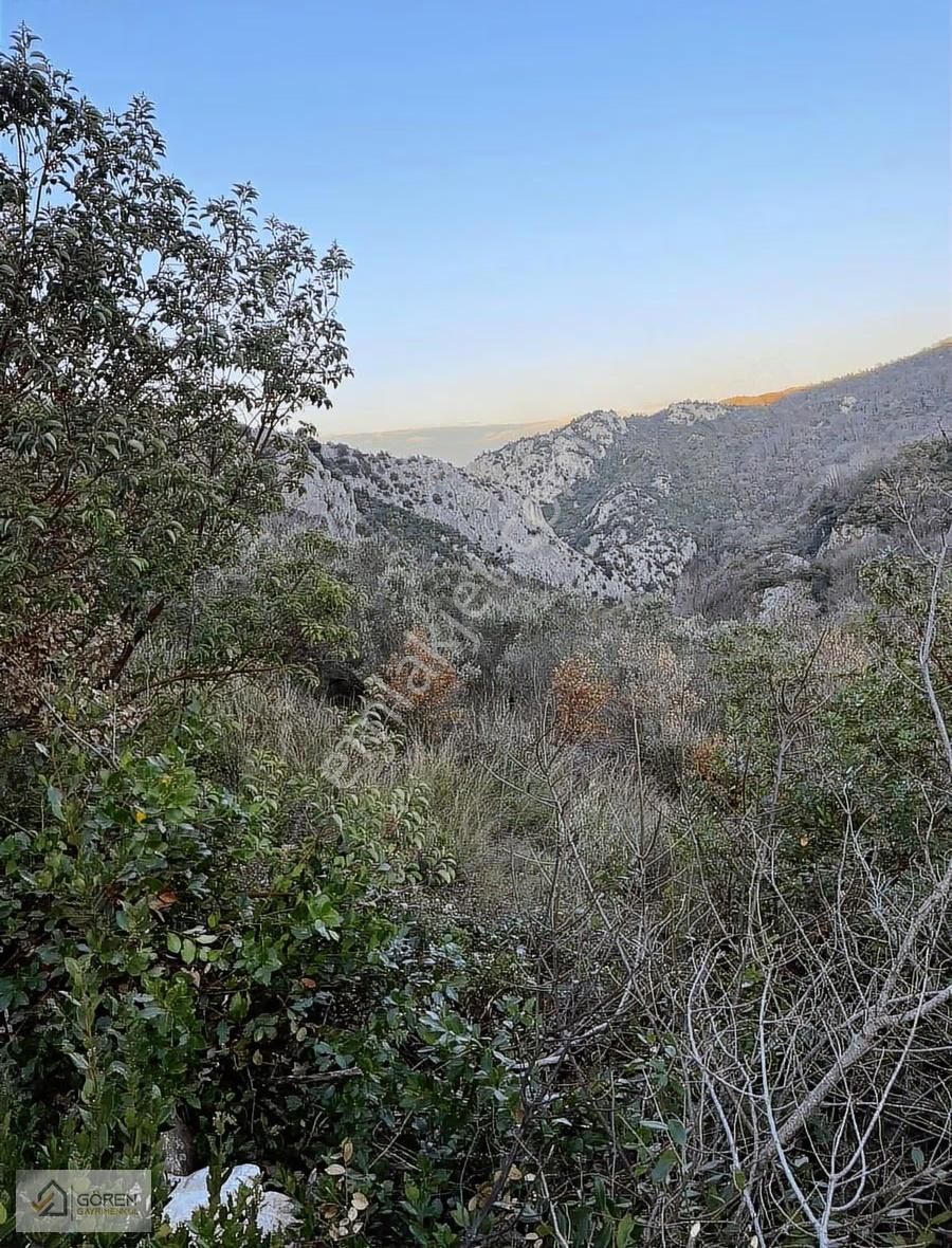 Ayva Köyde Resmi Yola Cephe Tek Tapu 1612 M2 Tarla - Görsel 7