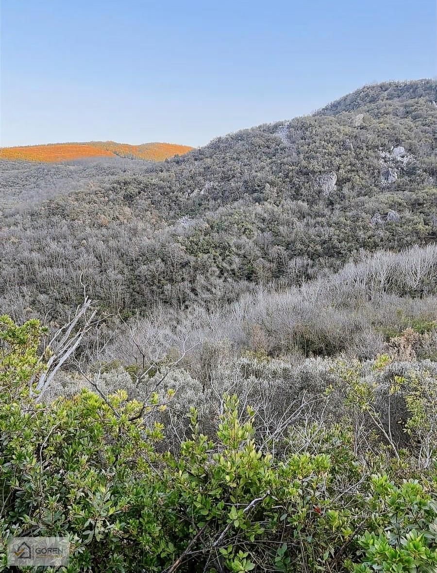 Ayva Köyde Resmi Yola Cephe Tek Tapu 1612 M2 Tarla - Görsel 14