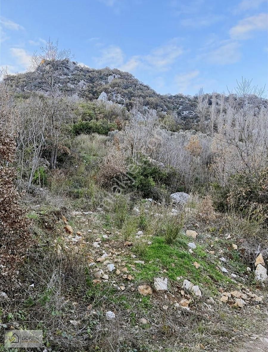 Ayva Köyde Resmi Yola Cephe Tek Tapu 1612 M2 Tarla - Görsel 17