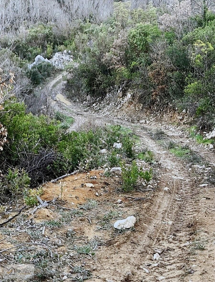 Ayva Köyde Resmi Yola Cephe Tek Tapu 1612 M2 Tarla - Görsel 5