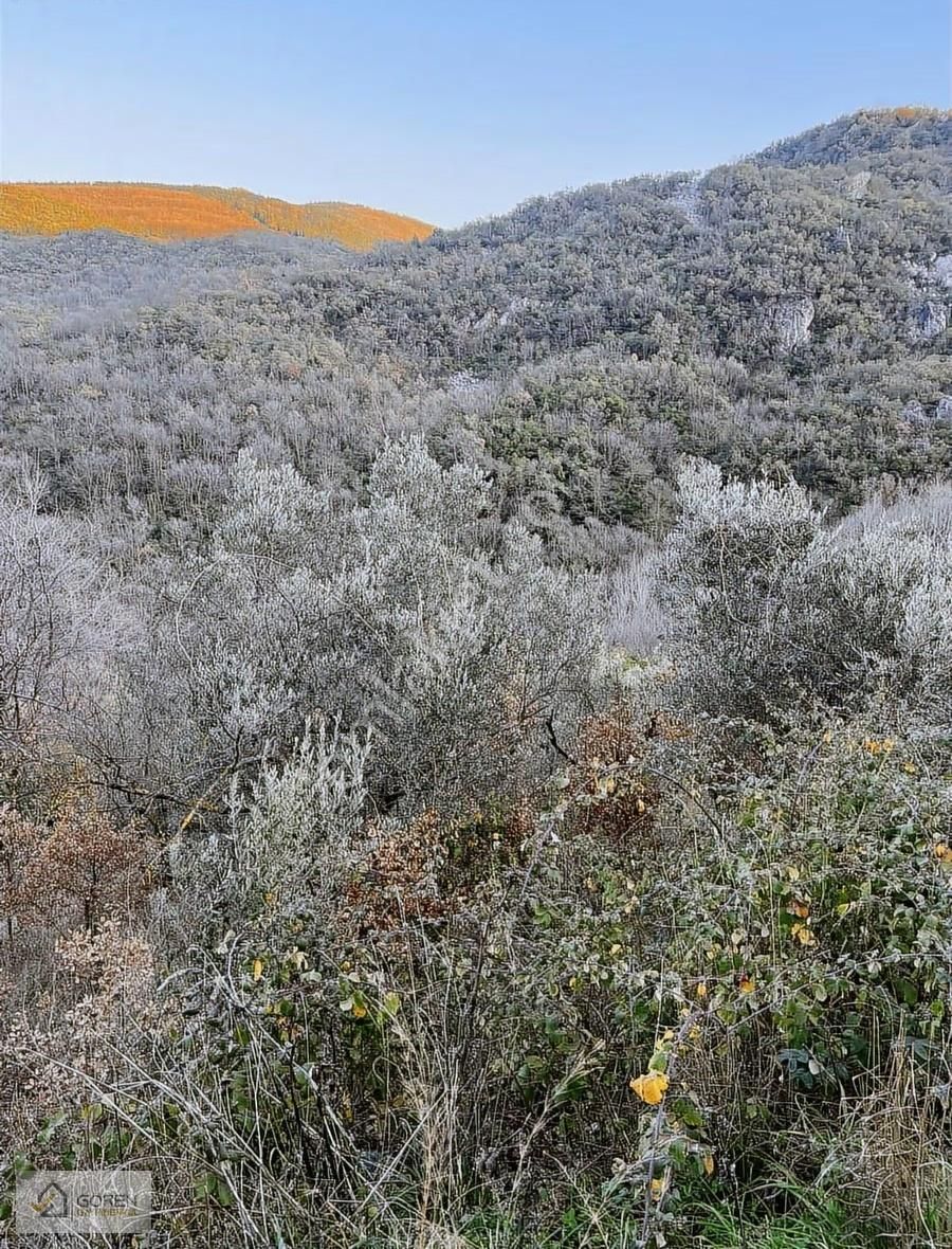 Ayva Köyde Resmi Yola Cephe Tek Tapu 1612 M2 Tarla - Görsel 31
