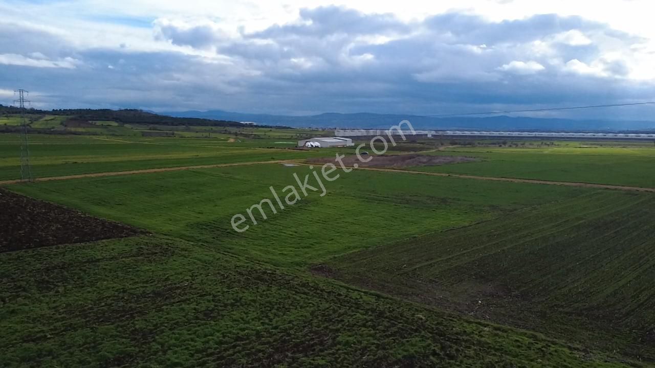 Çanakkale Biga Göktepe Köyünde Satılık 3191 M2 Tarla - Görsel 9