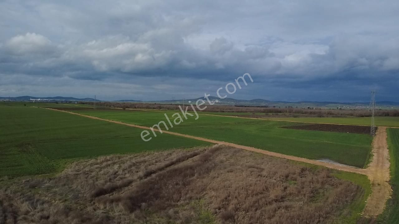 Çanakkale Biga Göktepe Köyünde Satılık 3191 M2 Tarla - Görsel 8