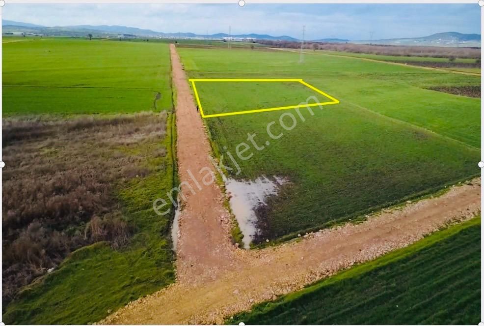 Çanakkale Biga Göktepe Köyünde Satılık 3191 M2 Tarla - Görsel 6