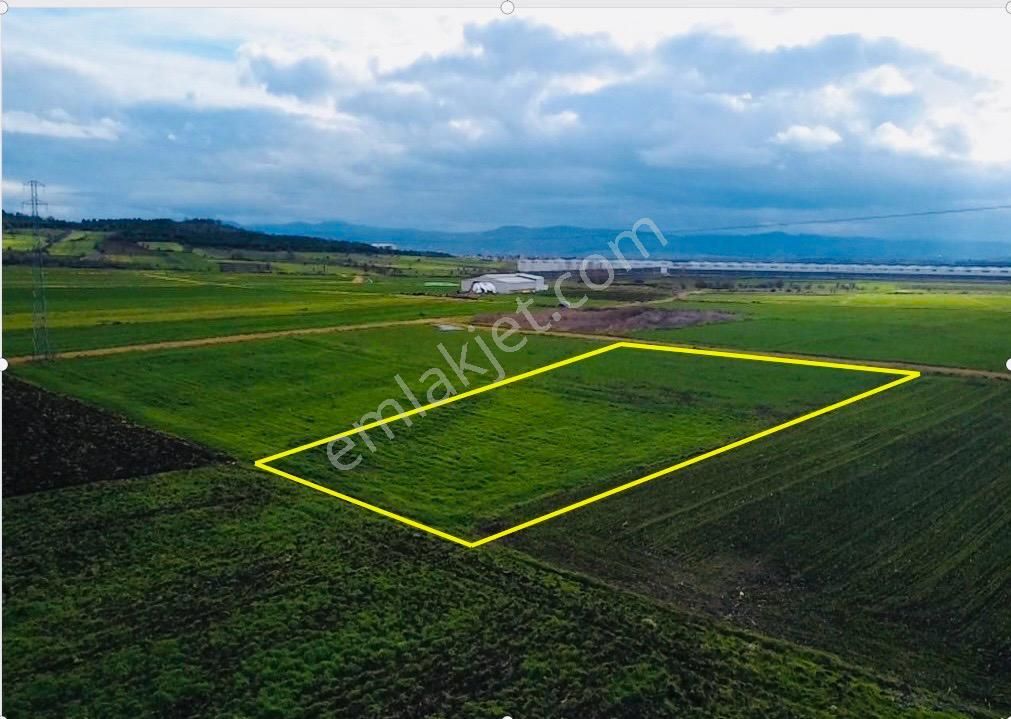 Çanakkale Biga Göktepe Köyünde Satılık 3191 M2 Tarla - Görsel 7