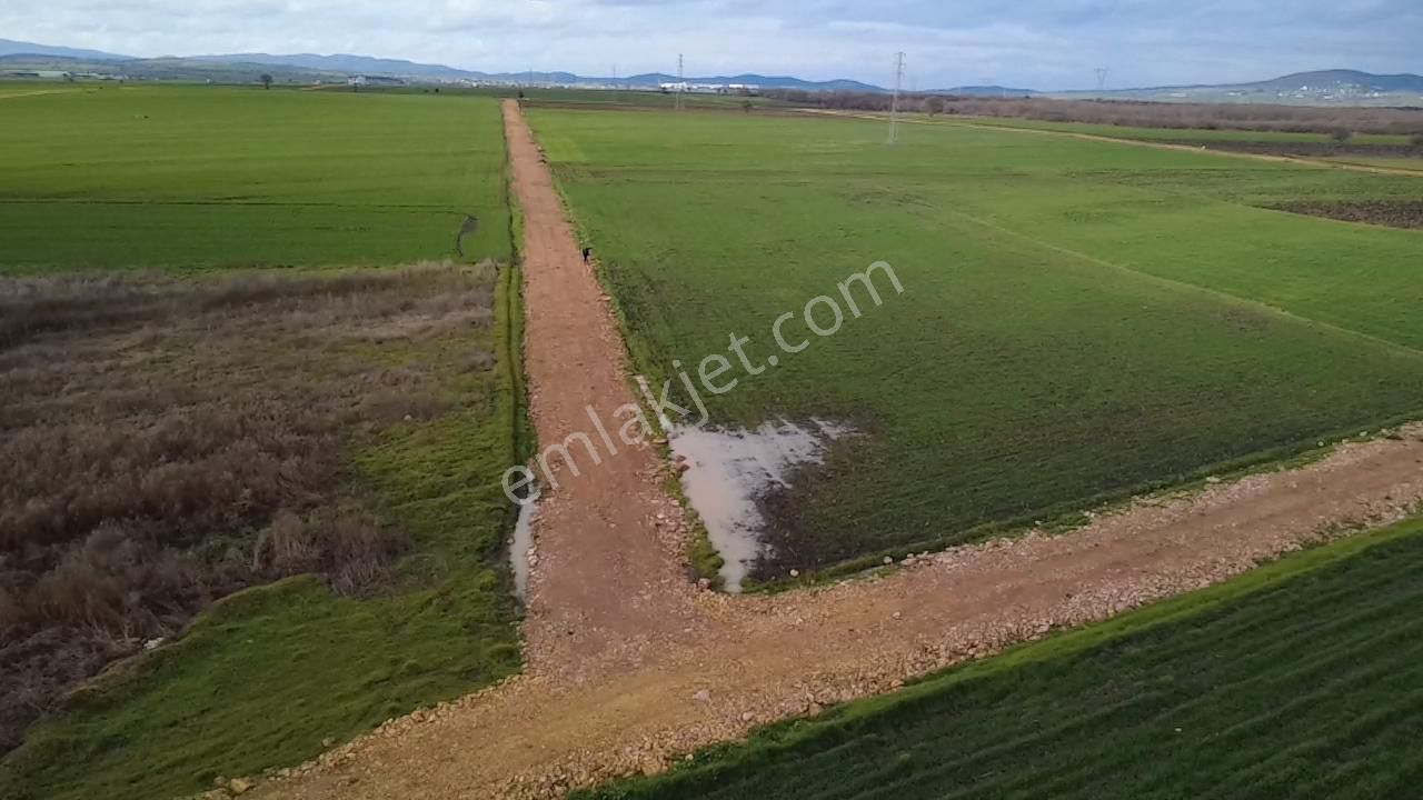 Çanakkale Biga Göktepe Köyünde Satılık 3191 M2 Tarla