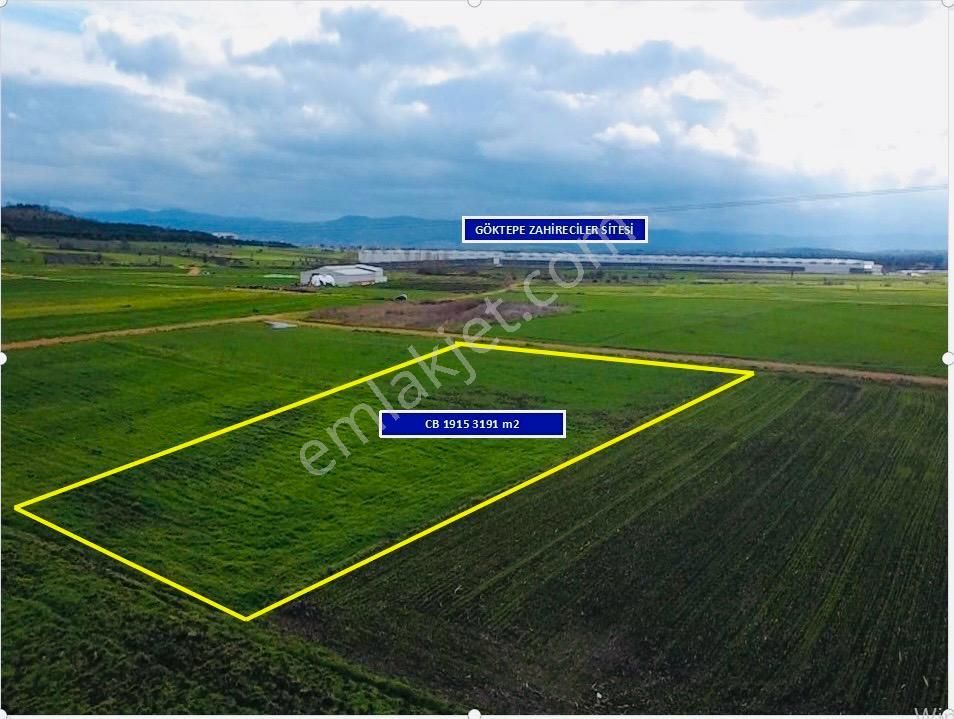 Çanakkale Biga Göktepe Köyünde Satılık 3191 M2 Tarla - Görsel 3