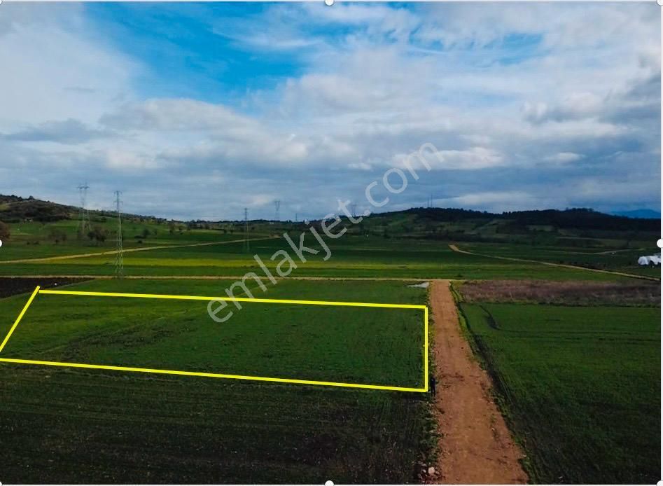 Çanakkale Biga Göktepe Köyünde Satılık 3191 M2 Tarla - Görsel 5