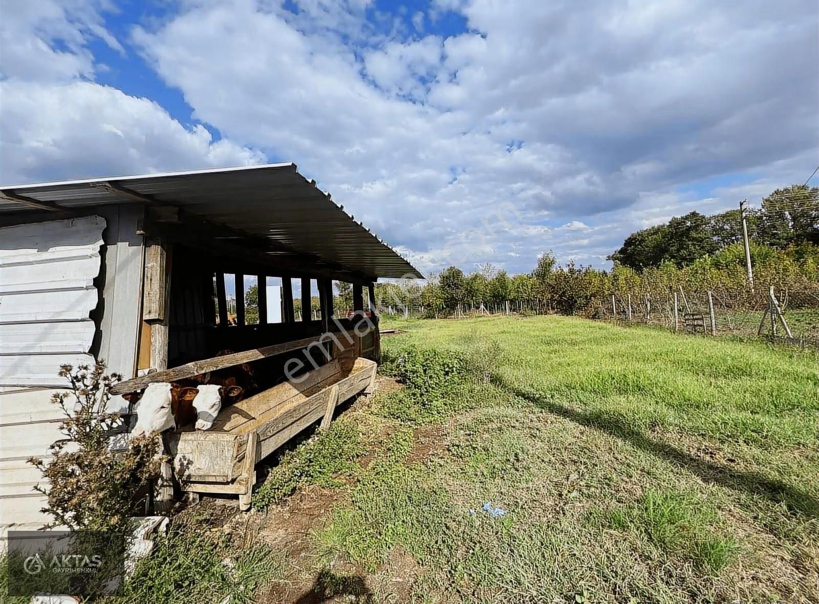 Satılık Büyük Baş Besi Çiftliği - Görsel 15