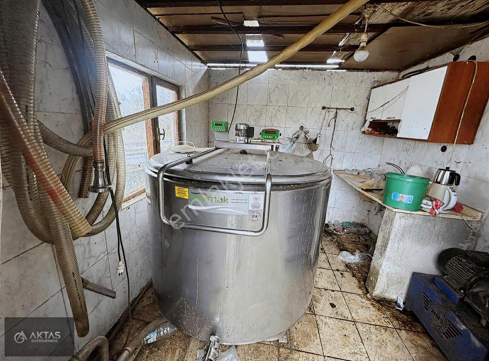 Satılık Büyük Baş Besi Çiftliği - Görsel 17