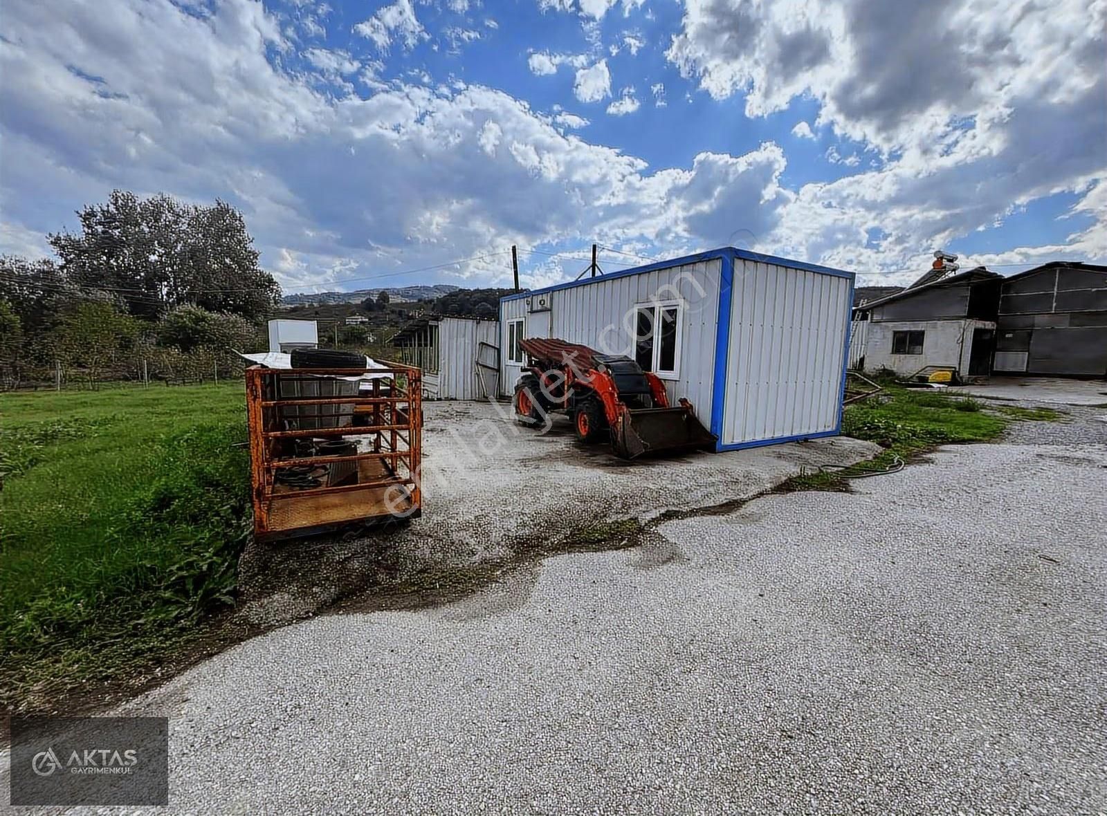 Satılık Büyük Baş Besi Çiftliği