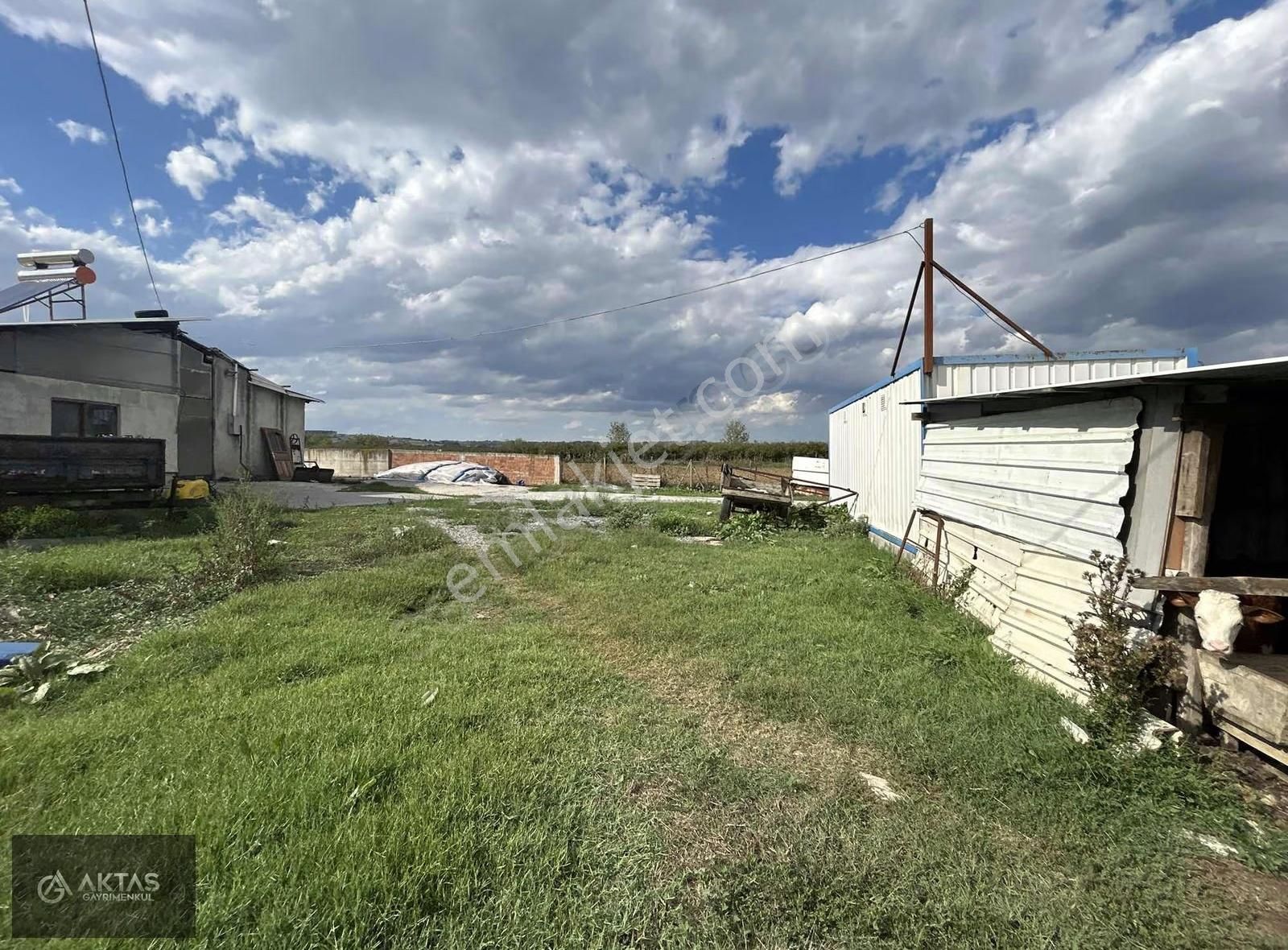 Satılık Büyük Baş Besi Çiftliği - Görsel 18