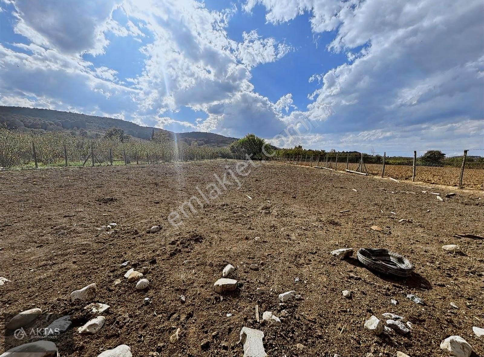 Satılık Büyük Baş Besi Çiftliği - Görsel 7