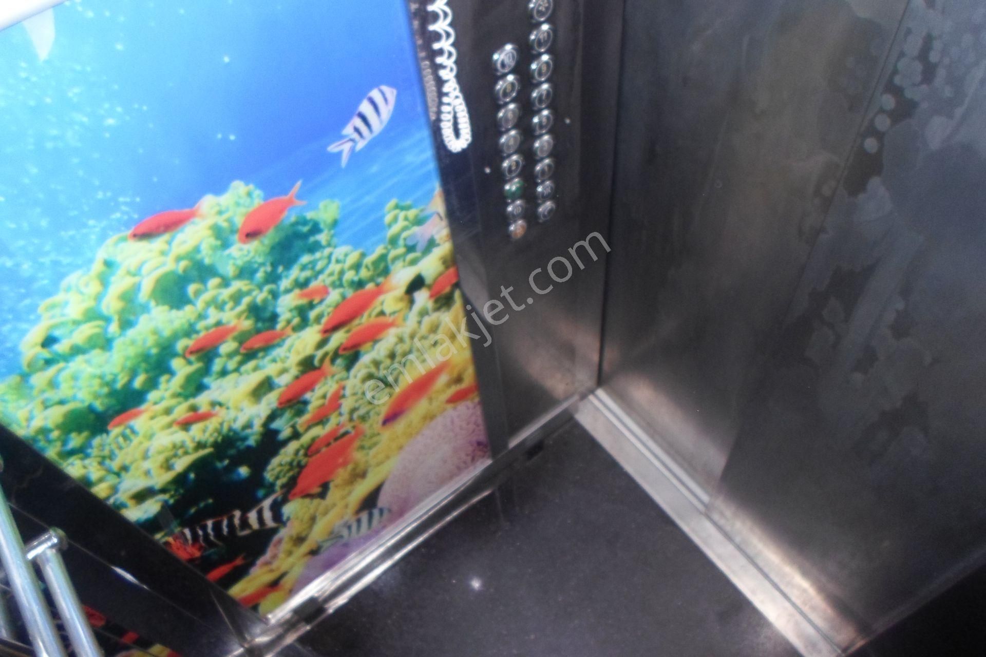 '' A Kalite * Marka Yapı * Elit Site * Real 4+1 '' Atlas G.y.o - Görsel 4