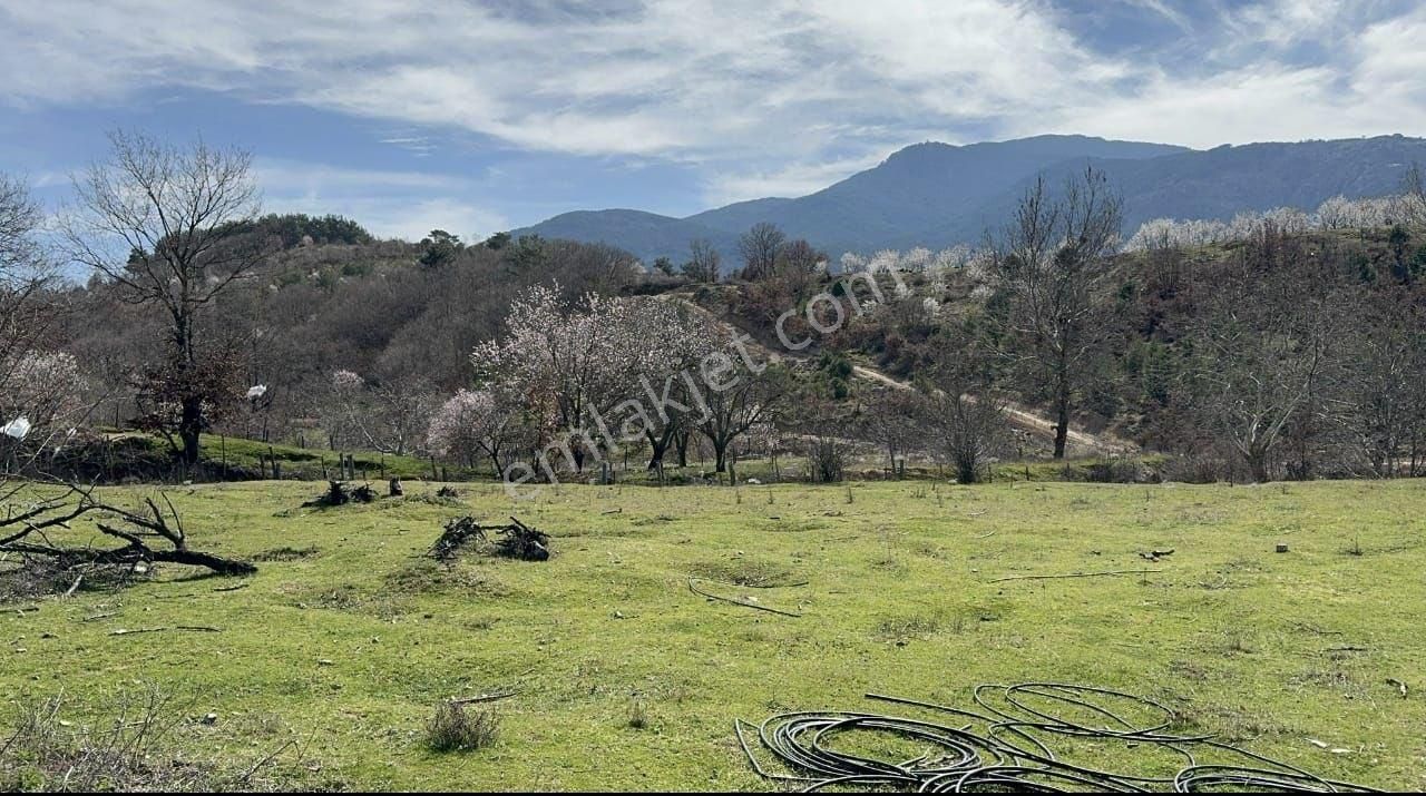 Yatırımlık Kelepir 505 M2 Yer İmarlı Arsa - Görsel 4