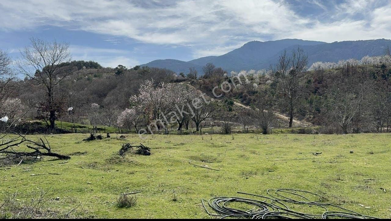Yatırımlık Kelepir 505 M2 Yer İmarlı Arsa - Görsel 3