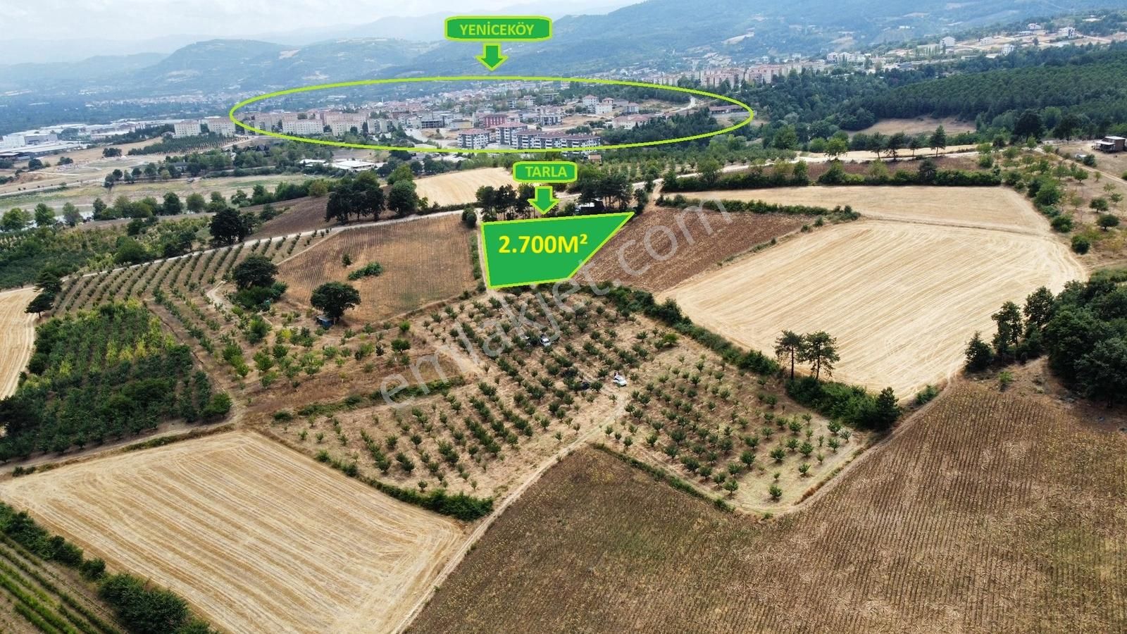 Ulucan'dan İnegöl Yeniceköy'de Satılık Erik Tarlası