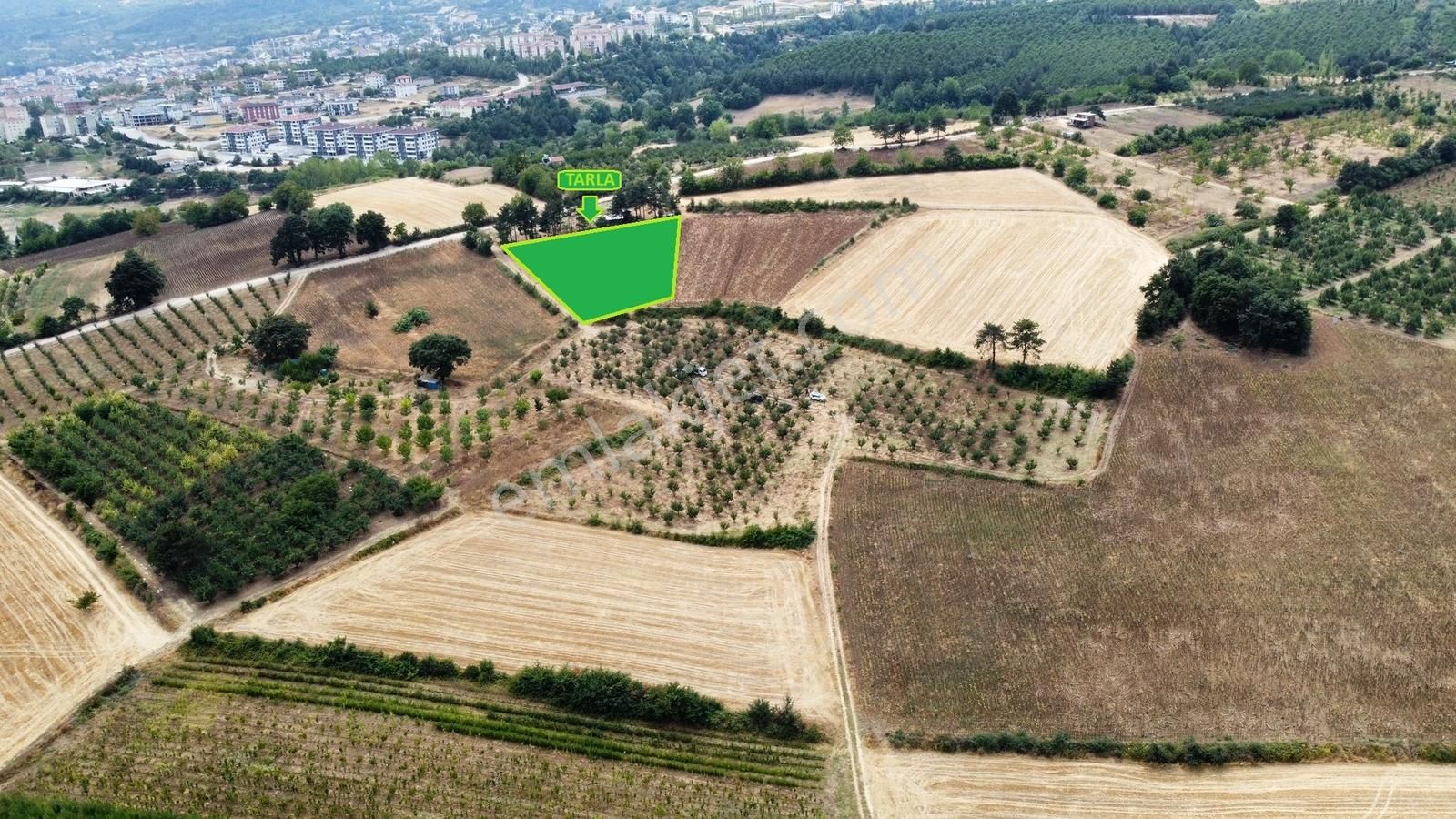 Ulucan'dan İnegöl Yeniceköy'de Satılık Erik Tarlası - Görsel 14