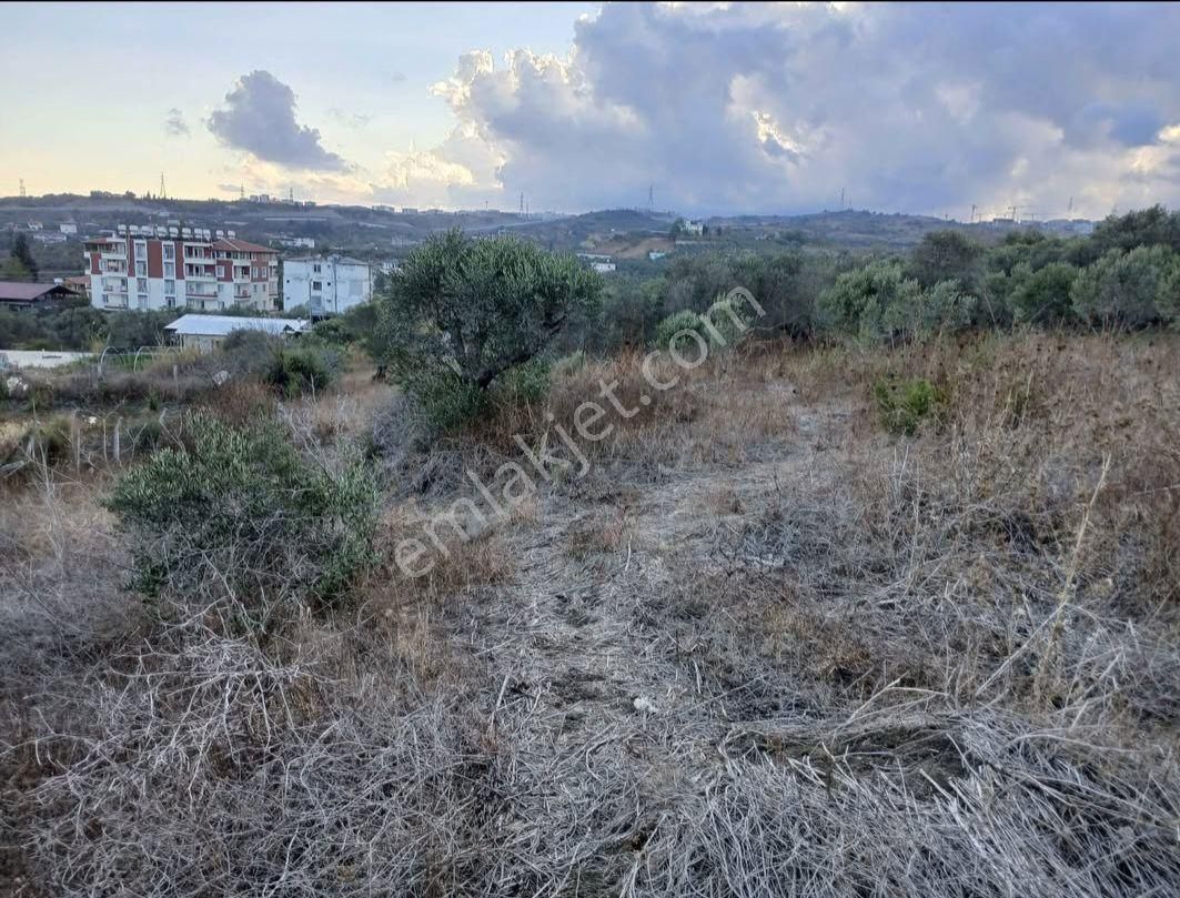 Fırsat Görülmeye Değer Bir Konum - Görsel 4