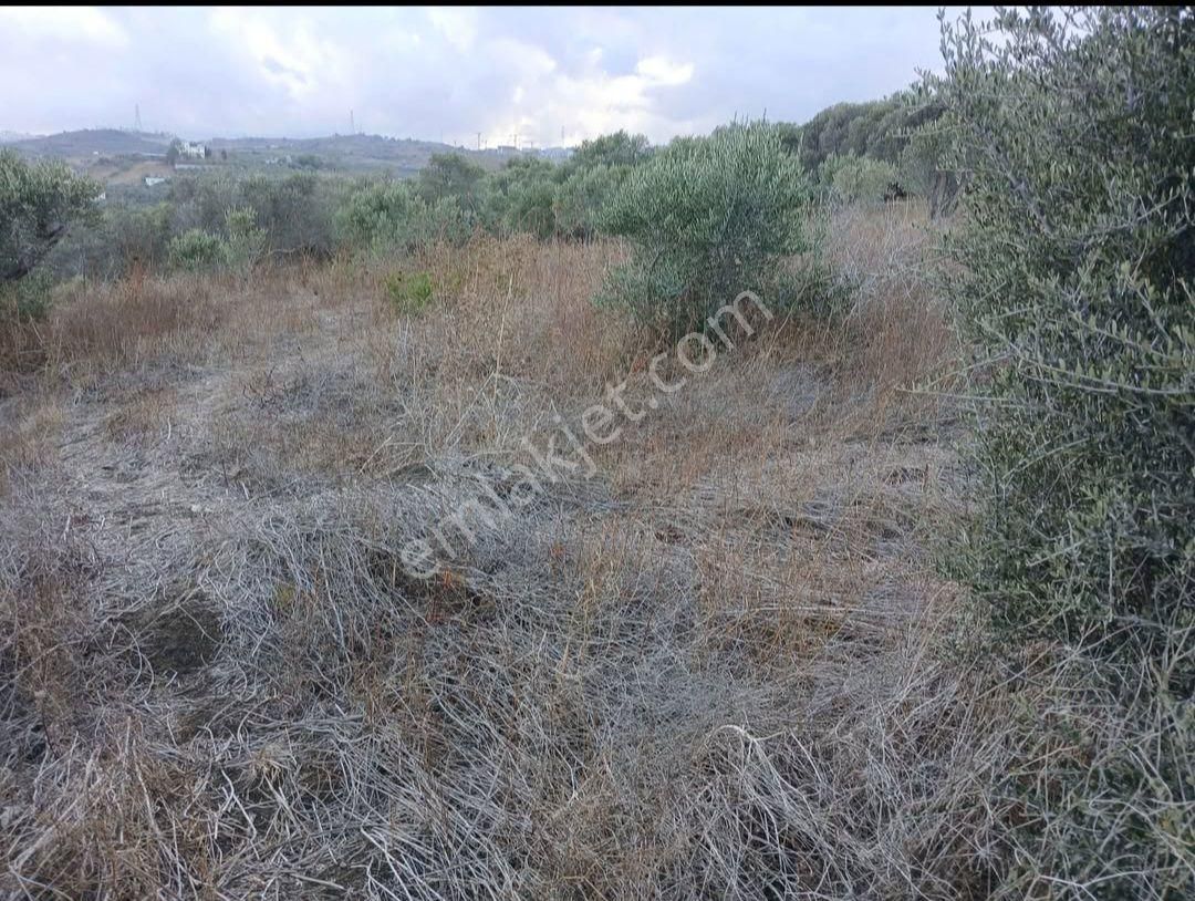 Fırsat Görülmeye Değer Bir Konum - Görsel 3